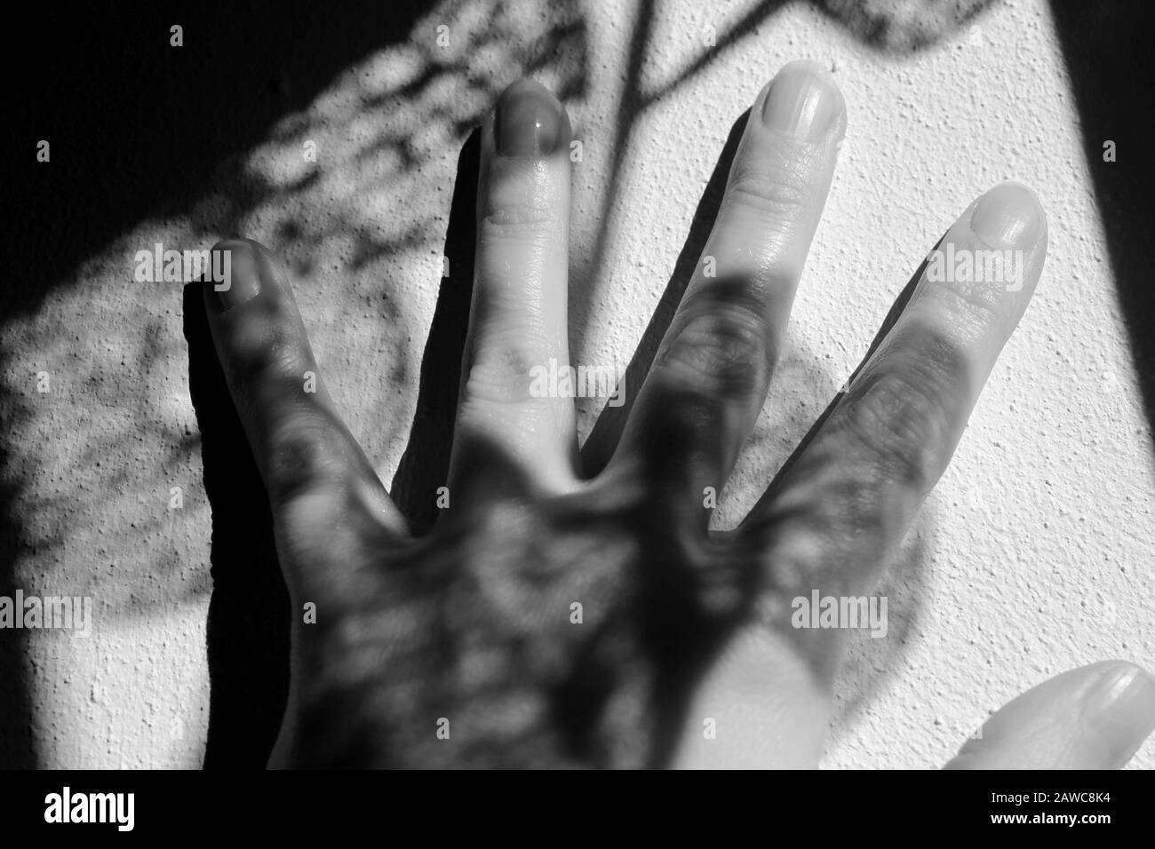 Moody Abstract Bild von Netlike Shadows for Book Covers oder anderer künstlerischer Verwendung VII Stockfoto