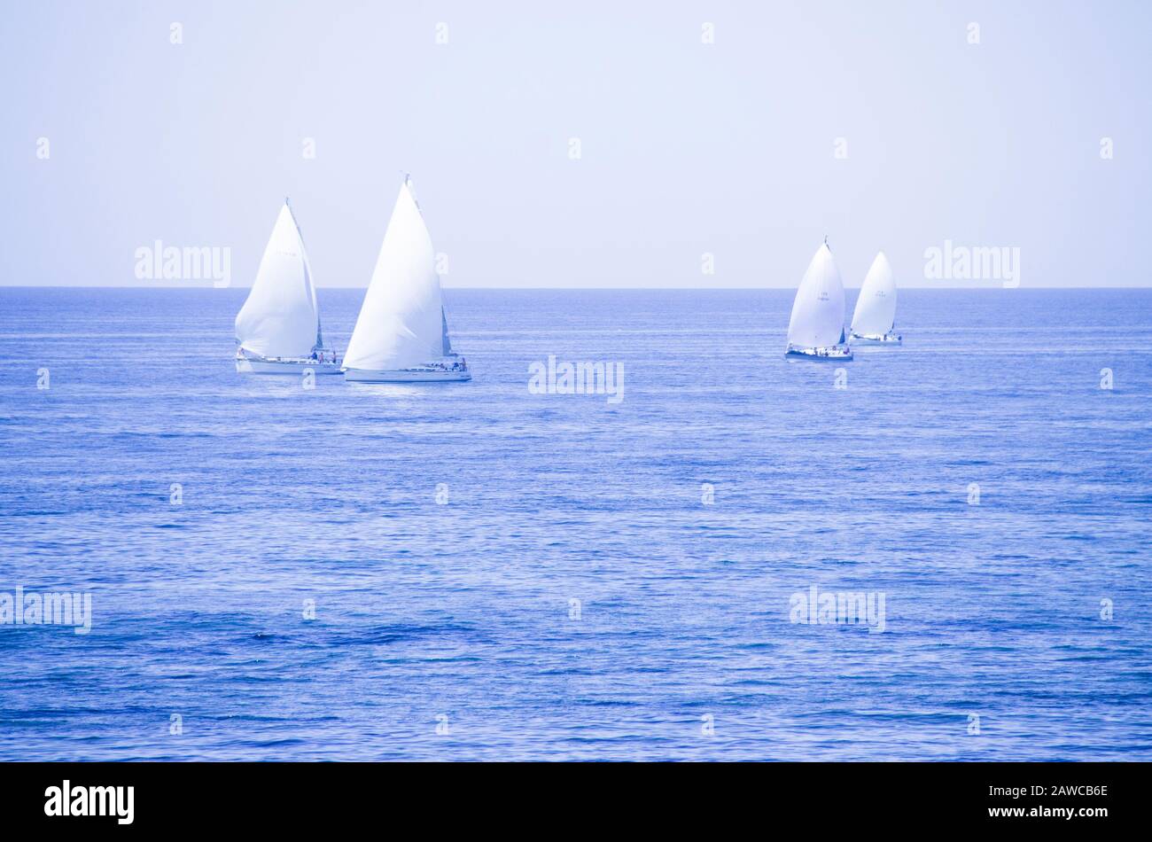 Segelrennen in Santa Marinella, Latium, Italien Stockfoto