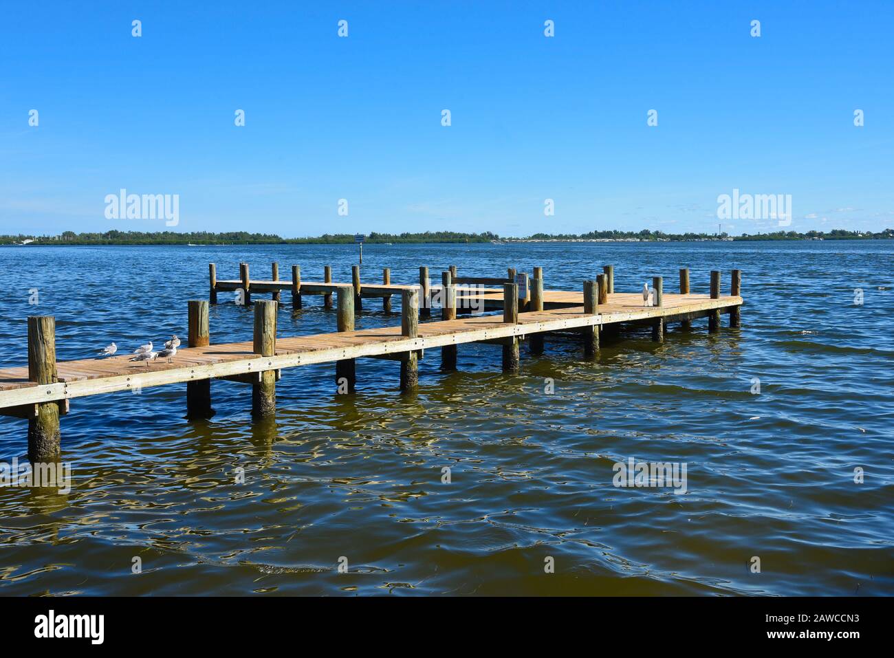 Long Wooden Boat Dock auf Anna Maria Island, Florida Stockfoto