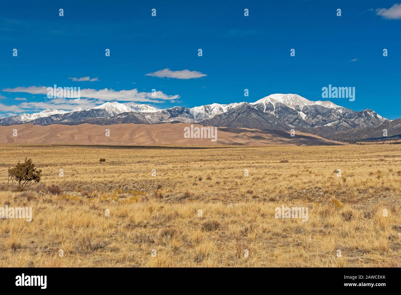 Blick über die Plains bei Sand Dunes und Snowy Mountains im Great Sand Dunes National Park in Colorado Stockfoto