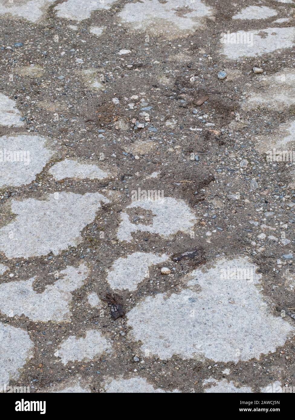 Gerissene und verrückte Straßenoberfläche auf dem Bauernhof. Metapher zerbricht, zerfällt, schlechte Infrastruktur, Risse erscheinen, holprige Oberfläche, raue Oberfläche. Stockfoto