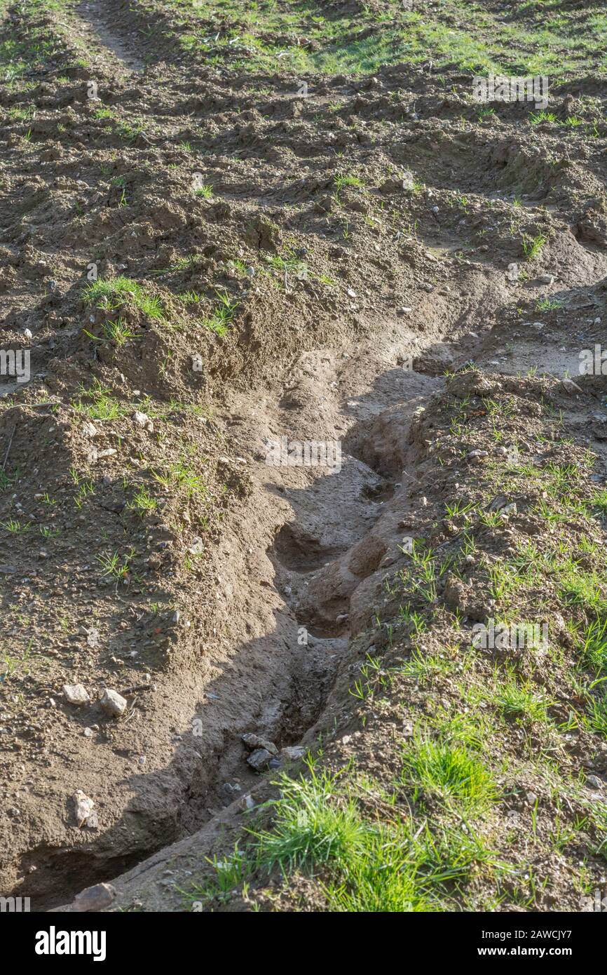 Wassererosionskanal / Rill Erosion Auswaschkanäle in Großbritannien Ackerfeld, wo Regen weg gewaschen Oberboden. Oberflächenwassererosion, Bodenverlust, Bodenrinnen. Stockfoto