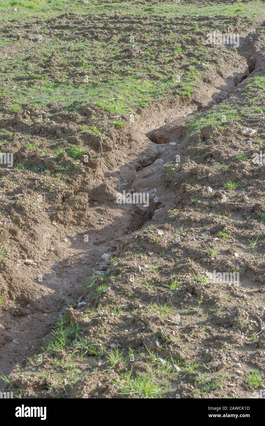 Wassererosionskanal / Rill Erosion Auswaschkanäle in Großbritannien Ackerfeld, wo Regen weg gewaschen Oberboden. Oberflächenwassererosion, Bodenverlust, Bodenrinnen. Stockfoto