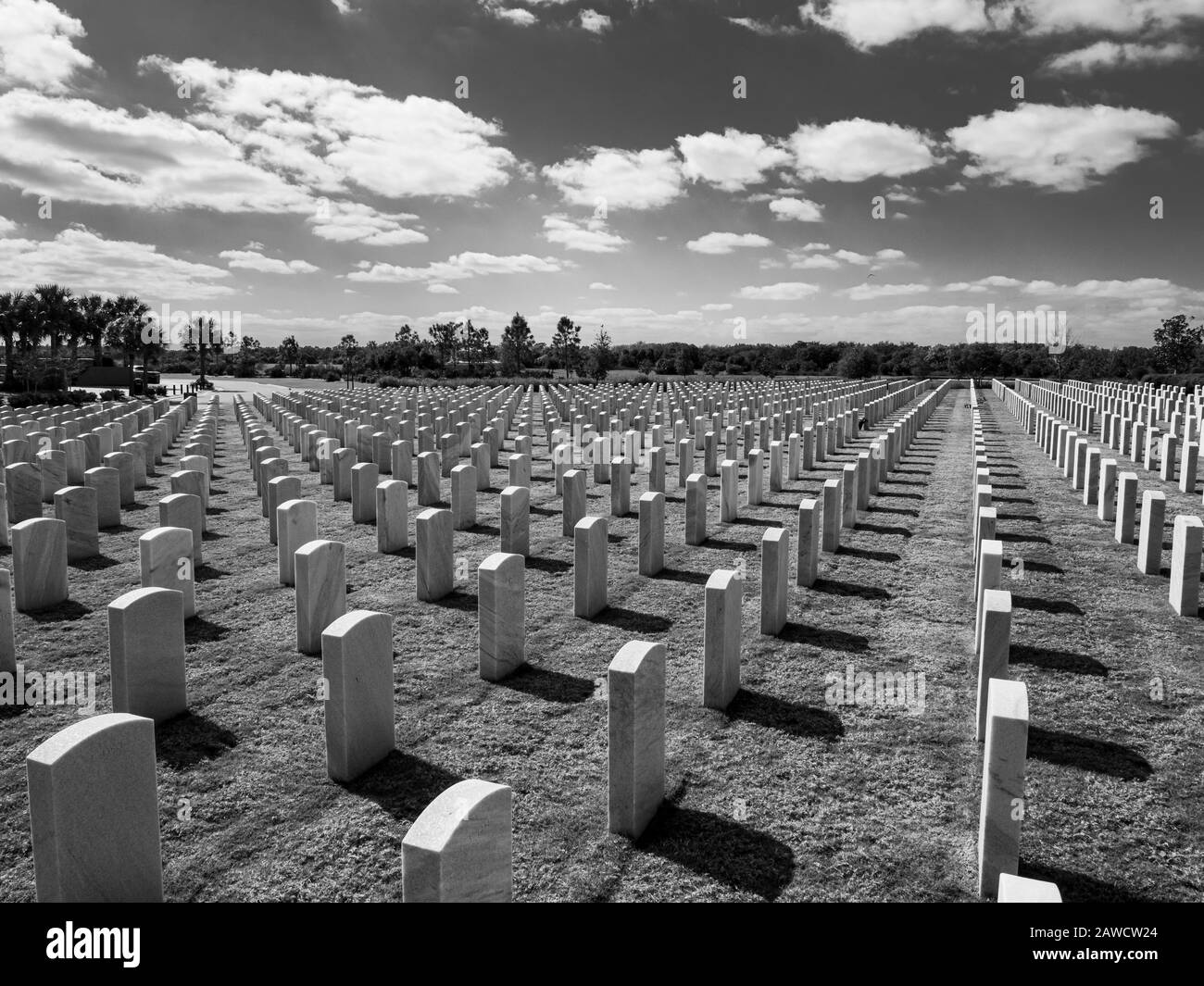 Schwarz-Weiß-Bild von Grabsteinen auf dem Sarasota National Cemetery in Sarasota Florida Stockfoto