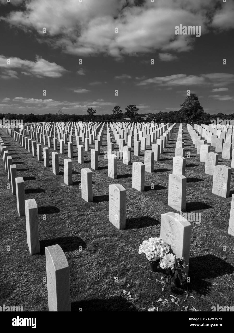 Schwarz-Weiß-Bild von Grabsteinen auf dem Sarasota National Cemetery in Sarasota Florida Stockfoto