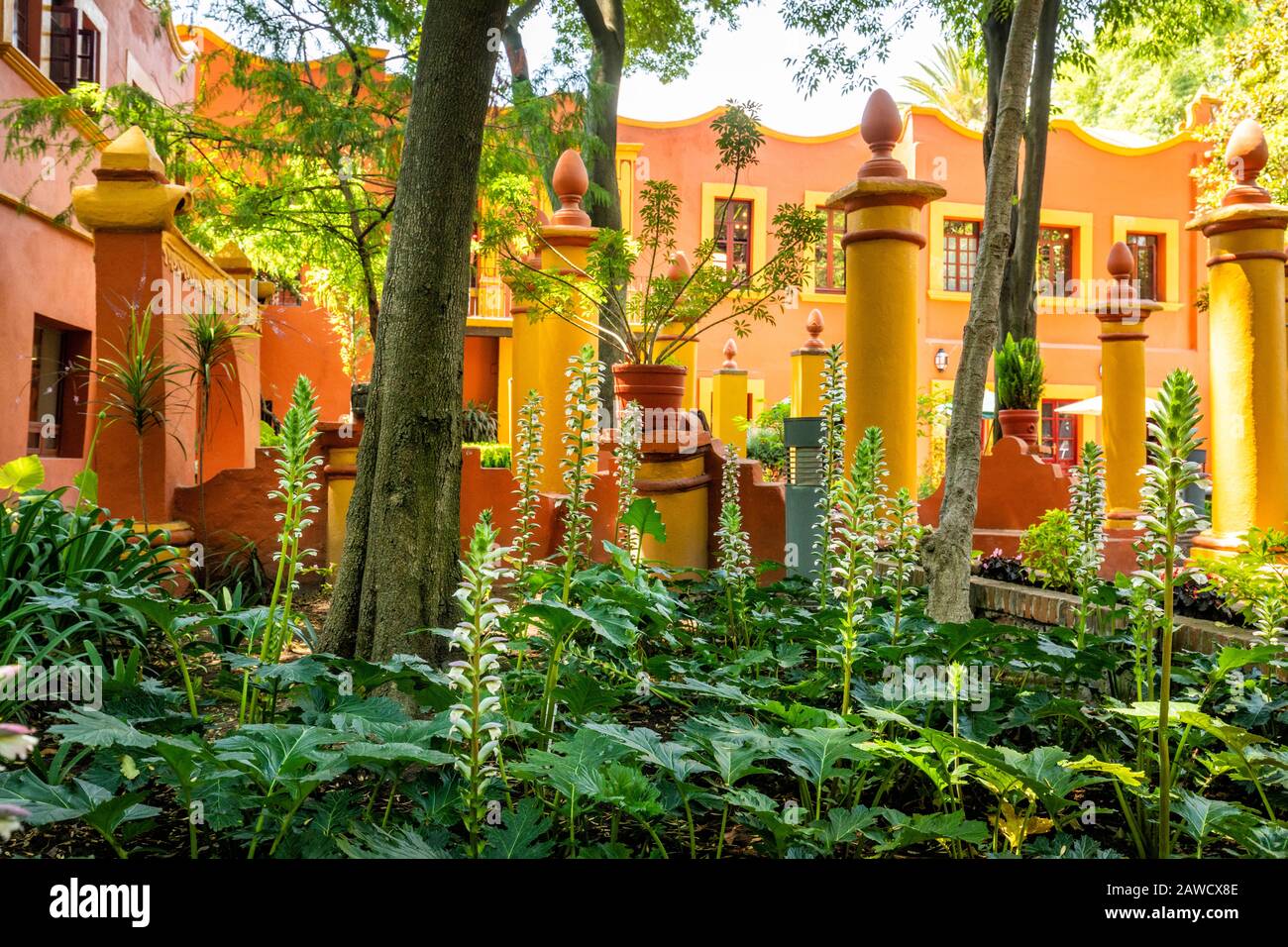 Gärten von Casa Alvarado, der letzten Residenz des berühmten Denkers und Autors Octavio Paz, im Coyoacan-Viertel von Mexiko-Stadt. Stockfoto