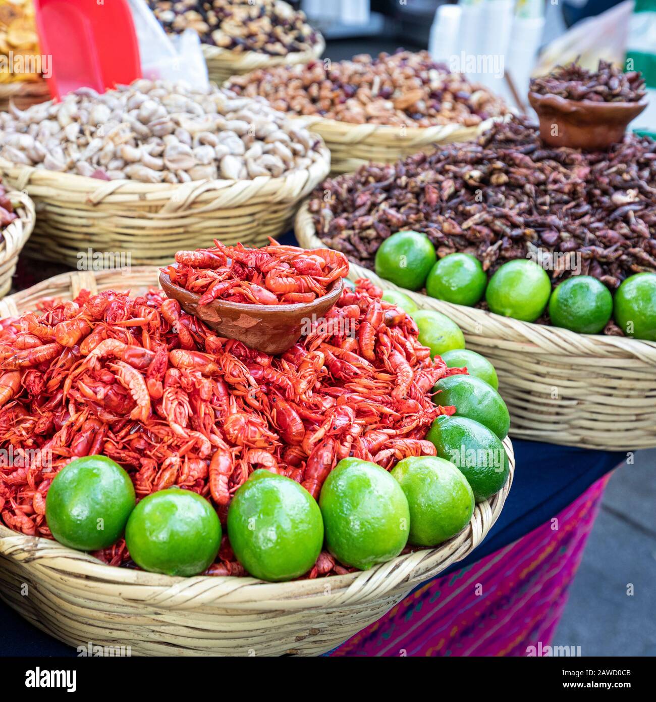 Kleine Garnelen und gebratene Insekten werden auf dem mexikanischen Markt in Mexiko-Stadt angeboten. Stockfoto