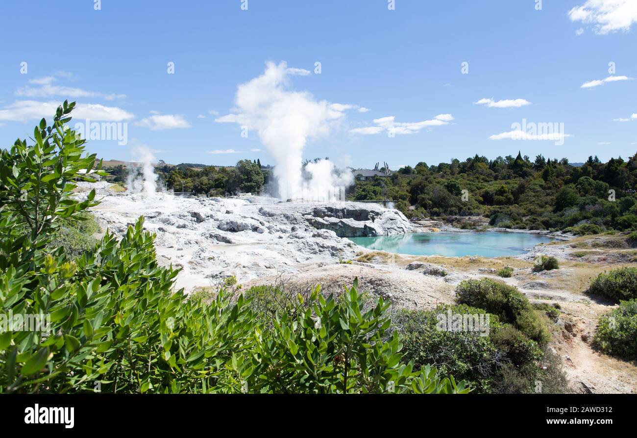 Maori Hot Springs Stockfoto