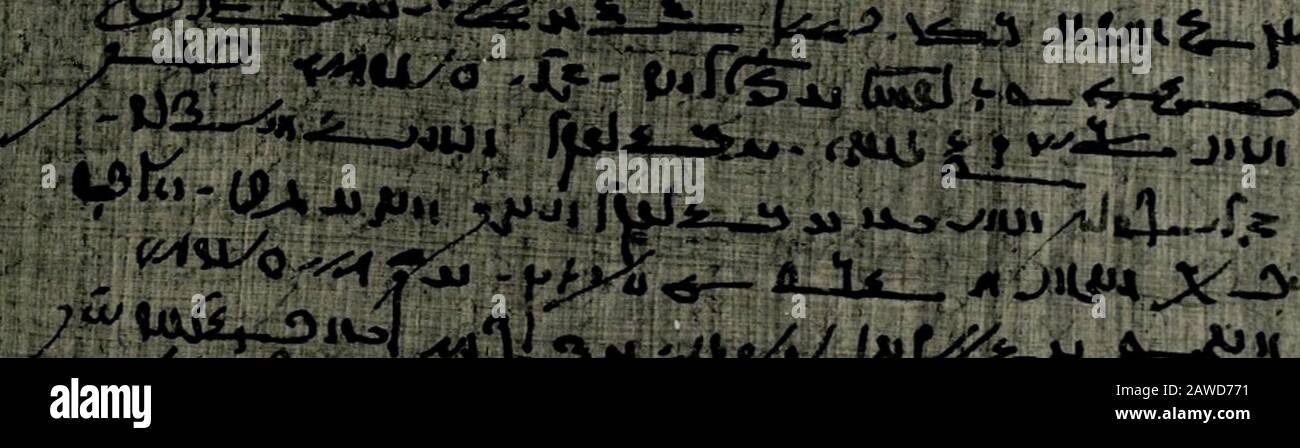 Der Sagenkreis Des Konigs Petubastis Nach Dem Strassburger Demotischen Papyrus Sowie Die Wiener Und Pariser Bruchstucken 10 Iiiiqu R Gt 15 Y Jb Gt Gt Gt I G Ju U Lt T Jj Pap Spiegelberg P Spieg Kolumne 7