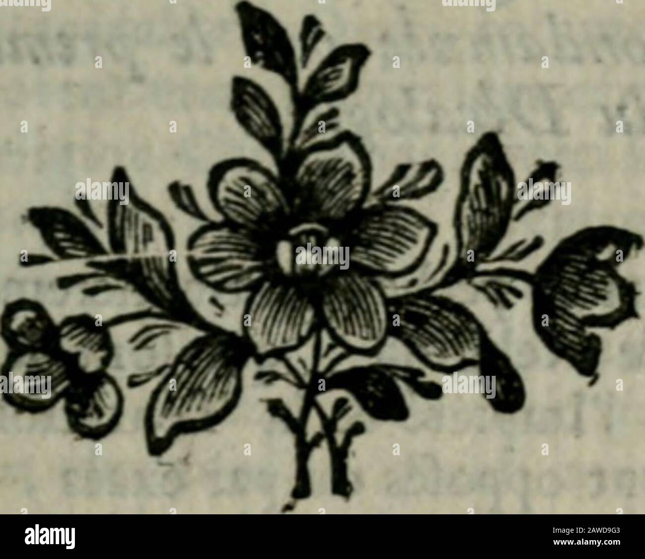 Conférences ecclésiastiques du diocèse d'Angers: à 1709 et les suivantes . oitpoint affeder dimiter les traits de certaines perfou- fur Us Commandcmcns de Dieu, l J^j "c particulières , ou vivantes , ou mortes , pourJes reprepréfenter au naturel fous les omemens, oa/Bus les titers des Heiligen. On doit 6ter des Eglifes les Inuges & les figu-res des seilles qui Font difformes par leur attitucte, ou leur fhud>ire , ou leur vctullé. On ne doit pasenfuite sen nervir à dits ufagiis profanes; maisk la matière en cil de toile, de carton , ou de bois >on doit les briile Stockfoto