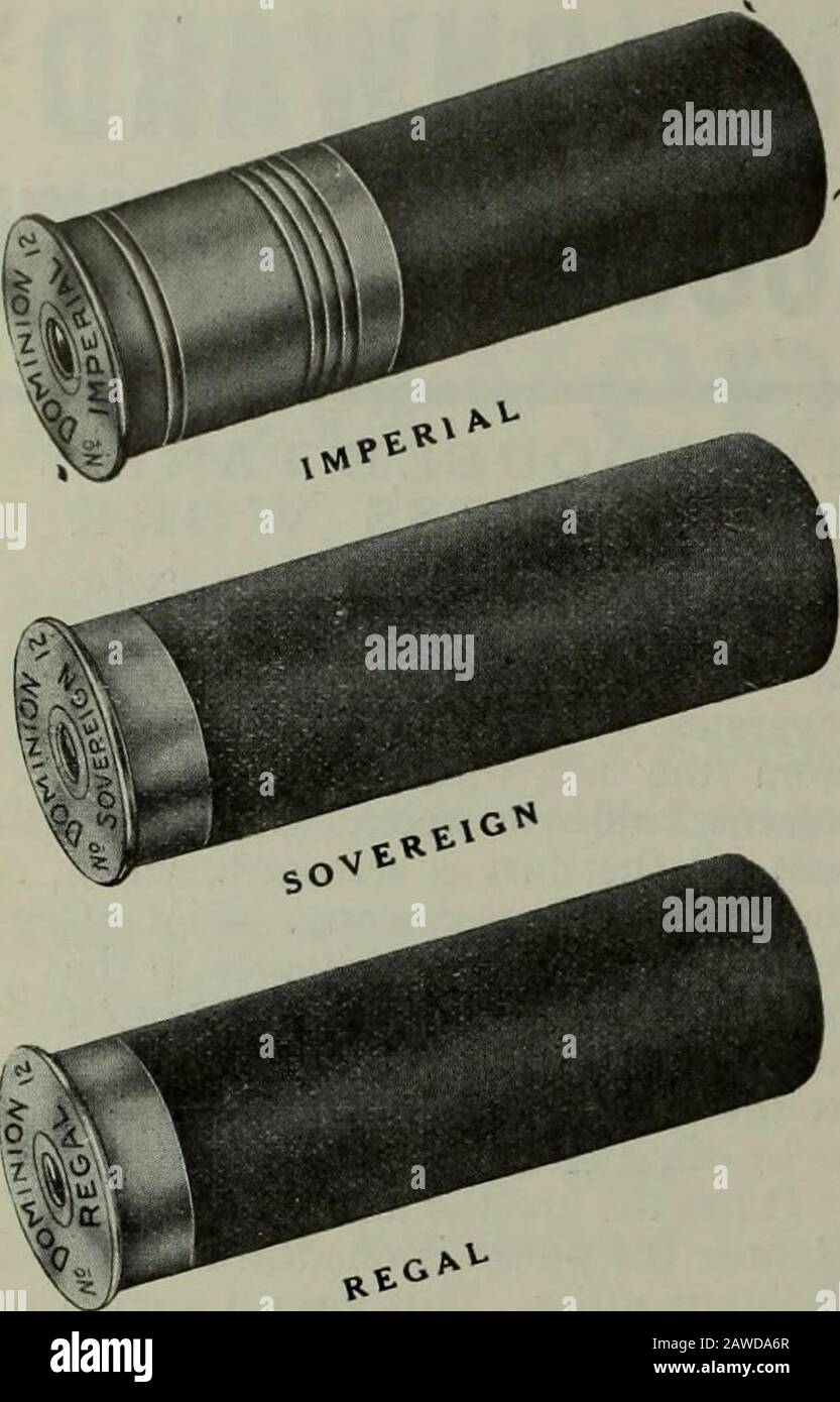 Hardware-Merchandising September-Dezember 1911 . MFG WEITER. Co. Größte Hersteller von Hand- und ElectricPower Staubsaugern in Kanada. BERI IN KANADA 41 HARDWARE UND METALL. DOMINION SHELLS (HERGESTELLT IN KANADA) 0UTSH00T ALLE ANDEREN MARKEN CHAS. E. Mink, mit New Dominion Shells, wonhigh Prof, Durchschnitt im Vancouver GunClub für das Jahr 1911. 93 + % 1596 x 1715 93 + %Prüfung Von Gleichförmigkeit, Geschwindigkeit, Muster. Neue DOMINIONDUCK-LASTEN TREFFEN HART UND TÖTEN Verwenden sie in der Falle, im Blinden und im Feld. Das Ergebnis wird am besten befriedigend sein. Von allen Hardware- und Sportartikelhändlern geguckt und verkauft. Domini Stockfoto
