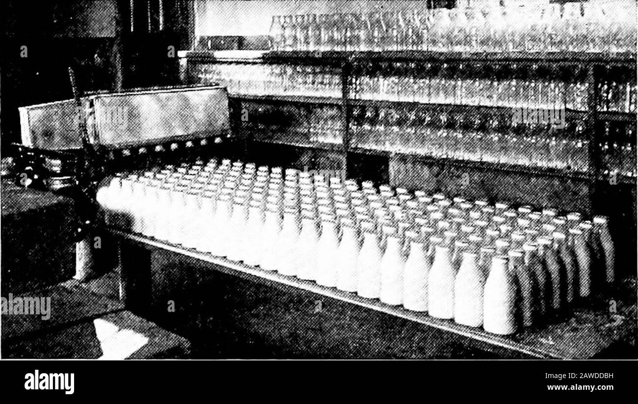 Produktive Landwirtschaft . Die alte Art, Milch aus Dosen zu liefern, die in den Straßen geöffnet wurden, um die Milch für jeden Kunden herauszuholen, erlaubte es Staub und alle Arten von Stadtbakterien, sich in die Milch zu bringen. Einfache Maschinen werden verwendet, bei denen Milch und Creme sehr schnell mit wenig Handling in Flaschen gegeben werden können (Abb. 219). Sonderformen Der Marktmilch.-Es gibt vielerorts Gesetze oder Vorschriften, die verlangen, dass Milch eine bestimmte Qualität oder einen bestimmten Standard hat. 330 PRODUKTIVE LANDWIRTSCHAFT gesetzliche Milchsäkulte enthalten in der Regel drei Prozent Fett und nicht weniger als zwölf Prozent der gesamten Feststoffe, einschließlich Stockfoto