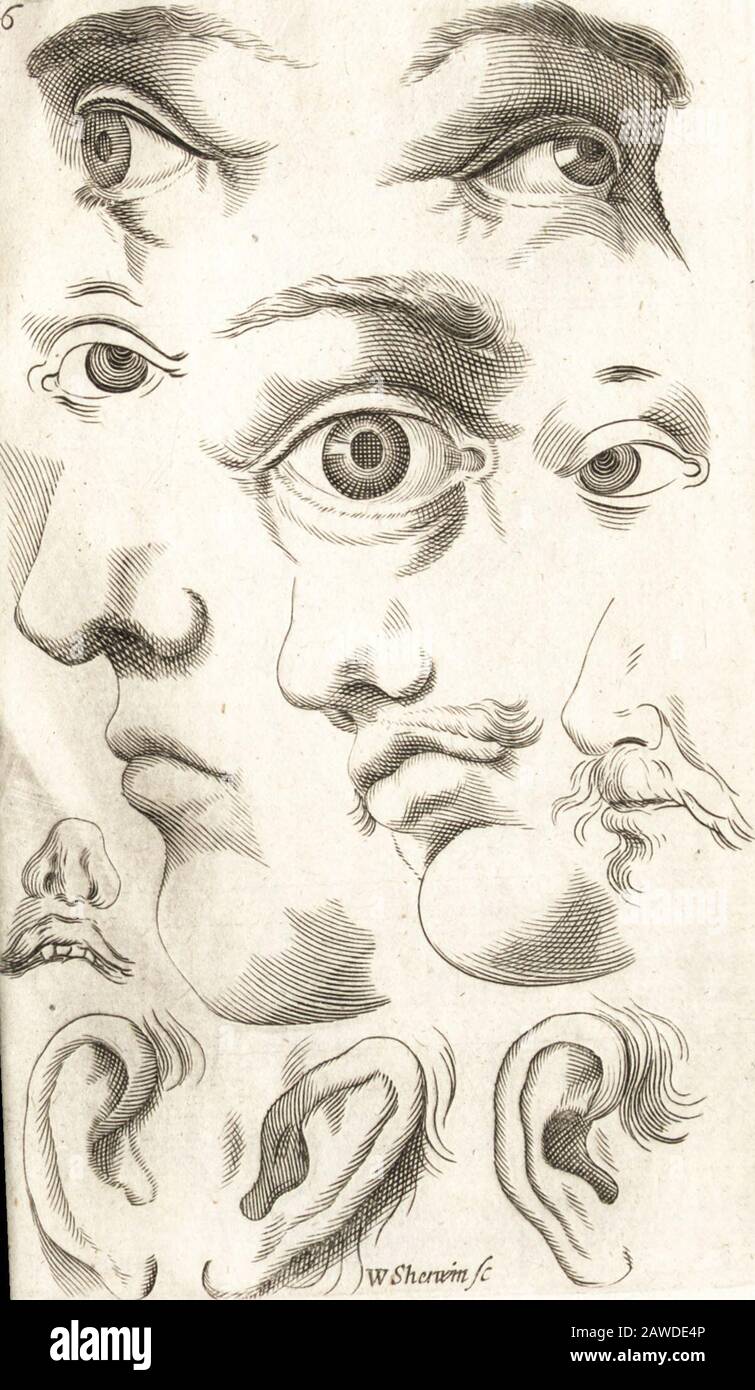 Polygraphice, oder die Kunst des Zeichnens, Gravierens, Ätzens, Limnings, Malens, Waschens, Lackierens, Vergoldens, Sterbens, Verschönerung und Parfümerie ..: Hinzu kommt ein Diskurs über Perspektive und Chiromantik . die Nufe und das untere Orthe Kinn sind gleich. V I. In der Zeichnung des utinoft Umfangs von aFace, nehmen Sie den Kopf und alle damit, Kit, den Sie betrogen haben, um die wahren bignefs zu zeichnen. VII Dann vertraute alle Tofe-Chefs, die dem Leben ein Gesicht geben, dazu Gnade hinzufügen und die Duf-Politik des Geistes bedecken. Also verlängerte sich der Mund und die Ecken ein wenig Stockfoto