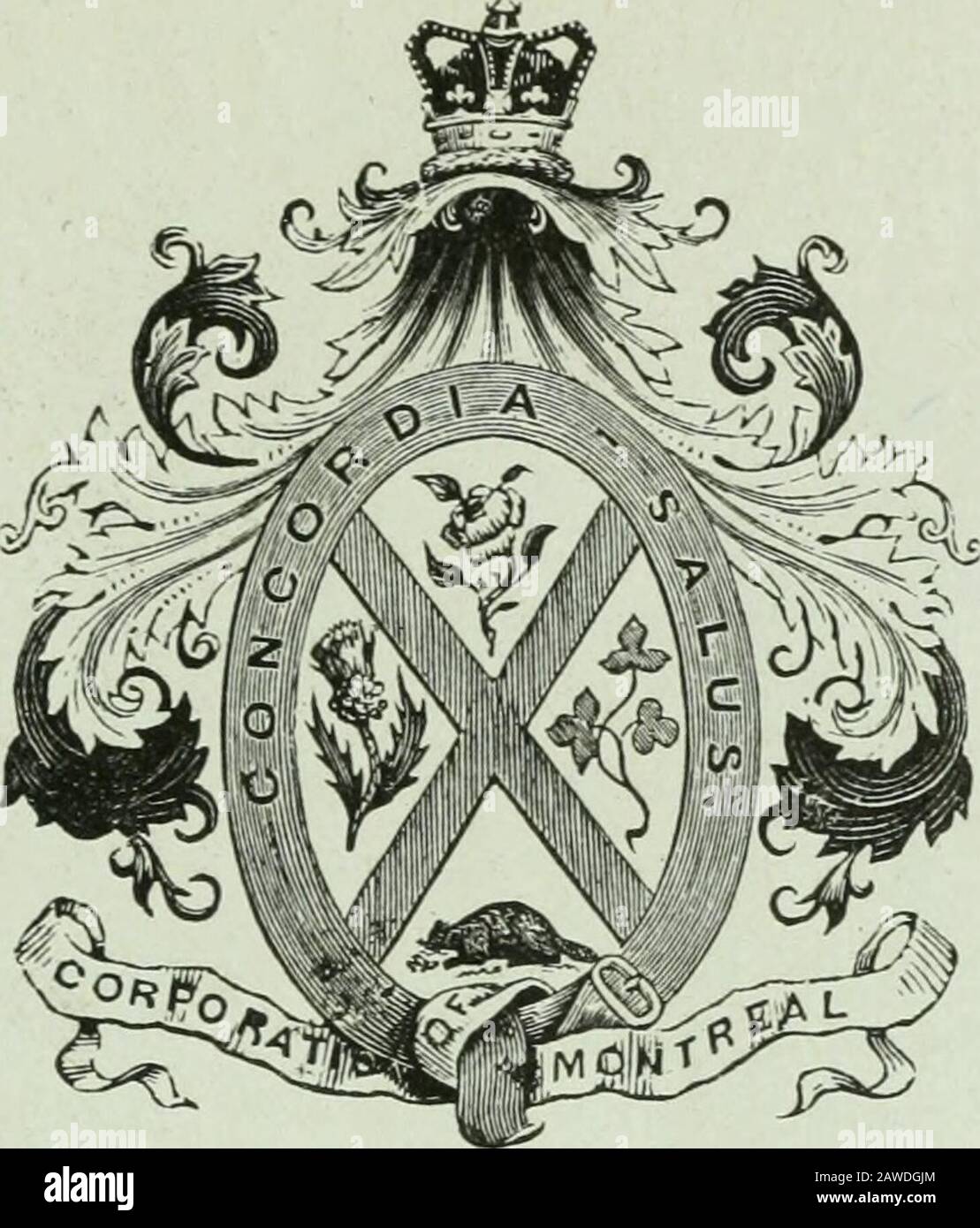 jarretière