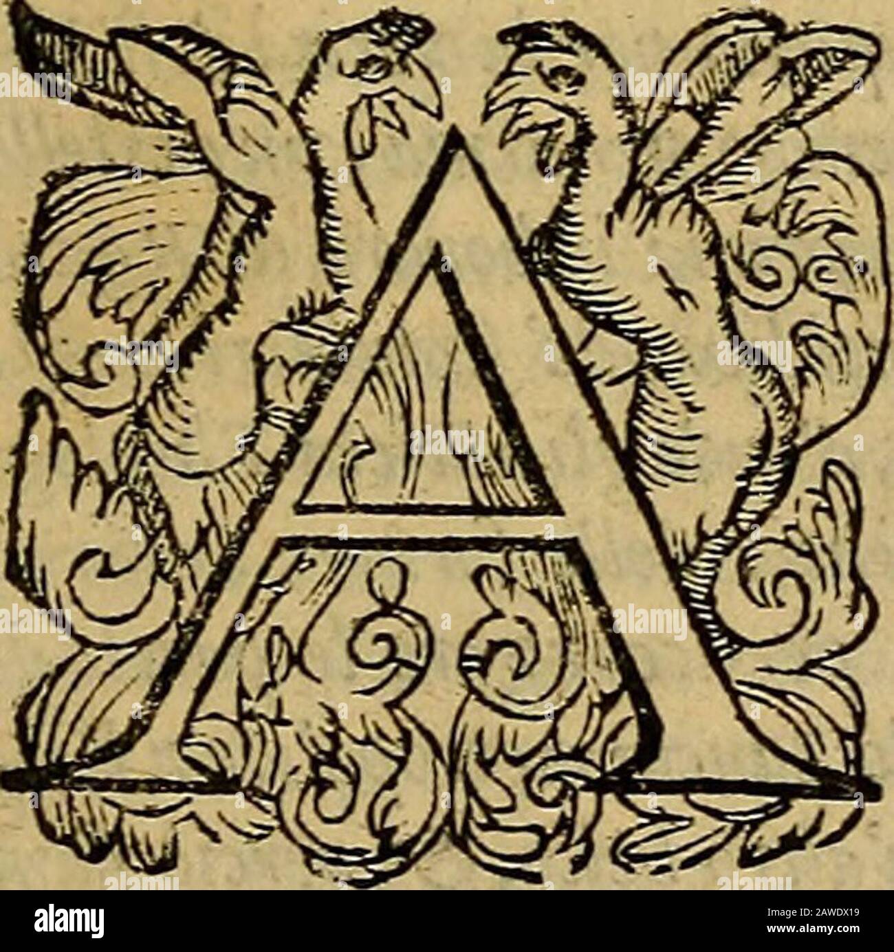 Messina, città nobilissima: Descritta in VIIlibri. probo dìjfemìnatore. Cofluìperuenendo in Sicilia & inuagbito dellabelley^adel fito, fondò la città dì Zancla, quale non Jìabilì con largo &forte oumito di muraglia > & altezza di torri, maallvfan^a Scitica ba-ttendo i carri per habìtatione, & per diffefa, nella fauella Ianigenanomòquèfla fua città Cioclam.peroche, così affcrmandoViflej]oxautore, Vnacit-tà picchia fi nomaua Vlicola, vna grande Zancudale o del a del Valle, Vladidale del Valle, Valle na cldale del Valle diquejìo Stockfoto