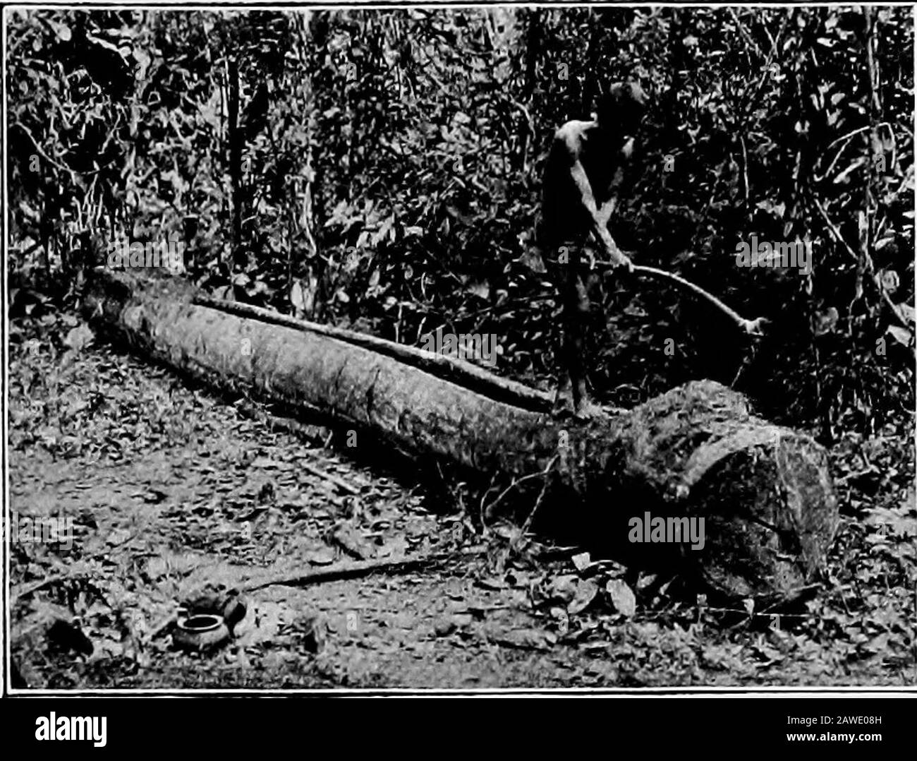 Birma. BOOTSBAU 133. 295. ROUQH-HEWINQ DER BOOTSRUMPF, vor allem bei Hochwasser. Das Bootsbauen ist die Kunst, die am meisten die konstruktive Fähigkeit der Menschen ausübten. Der Typ des Burman-Bootes, klein und groß, ist der Waschsalon. Es unterscheidet sich stark von dem gewöhnlichen Ausgraben der Shans und anderen, und wenn es eine Verschwendung von Timberas im Vergleich zu den gebauten gebaut-upcraft impliziert, produziert es immer noch aus Agiven-Log einen Rumpf von mehr Thandouble die Kapazität der ausgegrabenen. Er trägt stoßende Achgesteine und schneit sogar besser als die ausgegrabenen, weil das Getreide nowherecross ist. Das Holz bevorzugt für Stockfoto