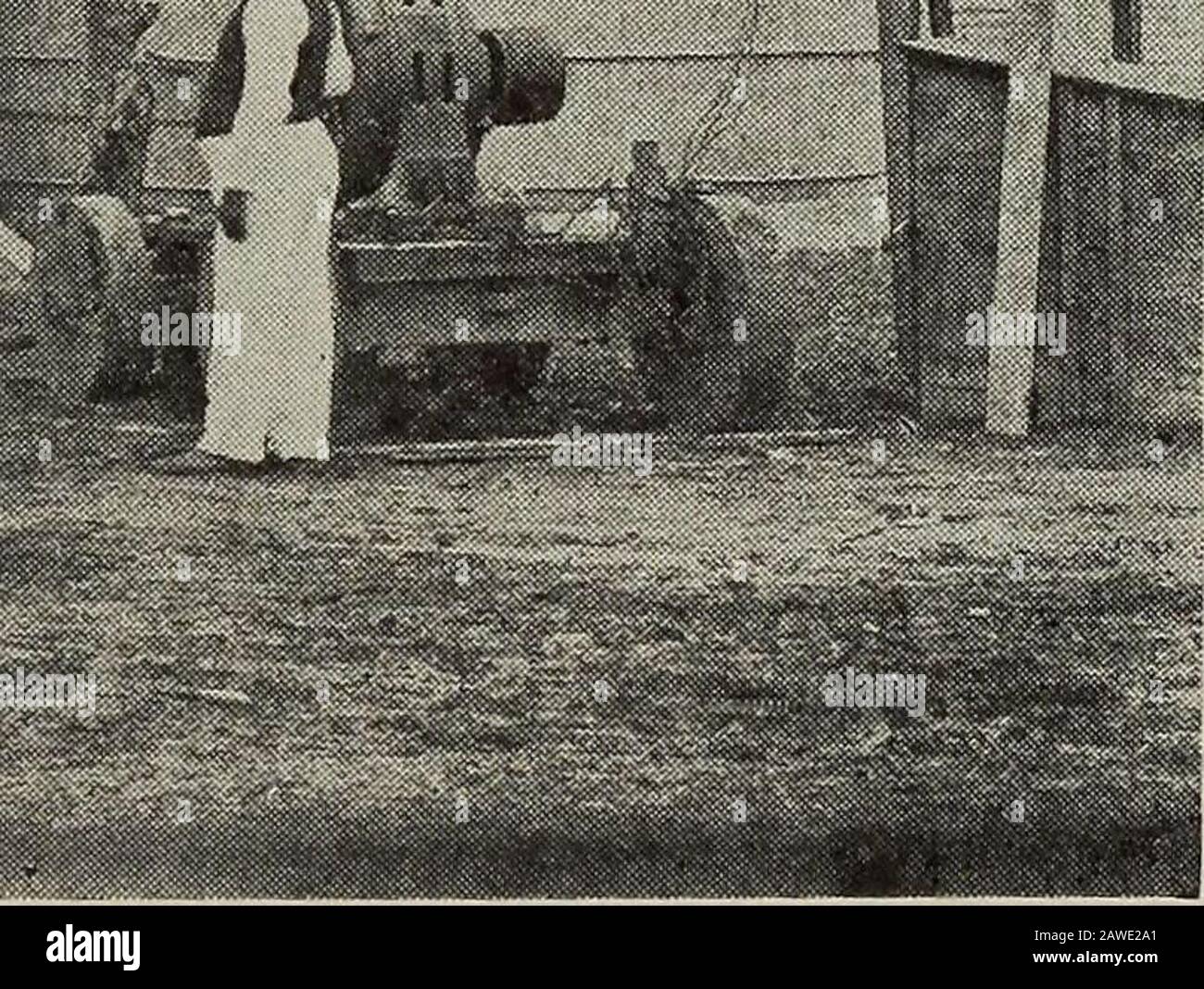 Katalog des Hampton Normal & Agricultural Institute in Hampton, Virginia, für das akademische Jahr .. M. Ausfüllen DES SILOS-KURSES IN DER AGRARBIOLOGIE (halbes Jahr) Sein Verhältnis zur Landwirtschaft - Die Lebensphasen und die wirtschaftliche Bedeutung der Kröte, Vögel, Nagetiere usw. Tierschutz - Wie durch Kolour erreicht; instinktiv. Evolutionstheorie - Illustrationen werden aus der Tierwelt stammen. Ethnologie-Primitiver Mensch, seine Aktivitäten und Umwelt; Entwicklung durch Landwirtschaft. Landtechnik (halbes Jahr) Vermessung, Terrassierung, Nivellierung, Drainage. Plottingfelder auf Abschnittspapier an Stockfoto