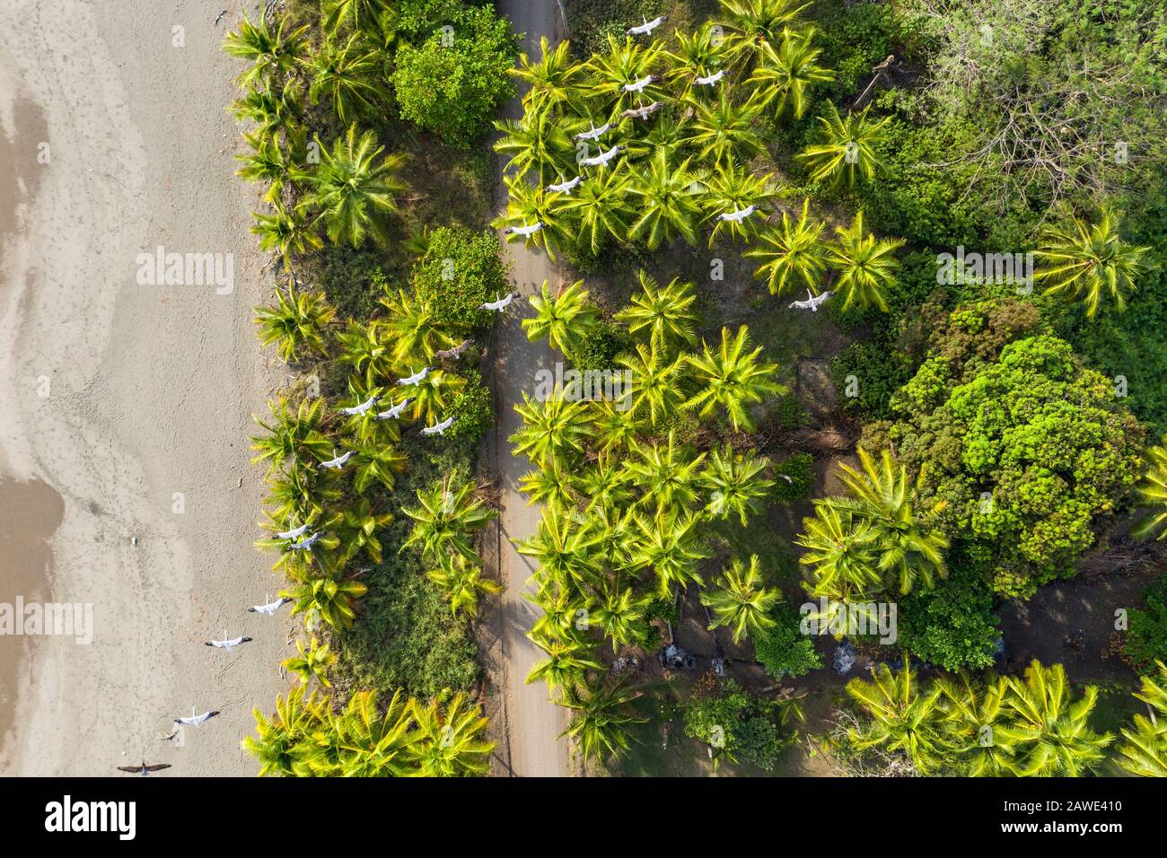 Küste und Strand in der Nähe von Parrita und Parque Nacional Manuel Antonio, Puntarenas Provinz, Costa Rica Stockfoto