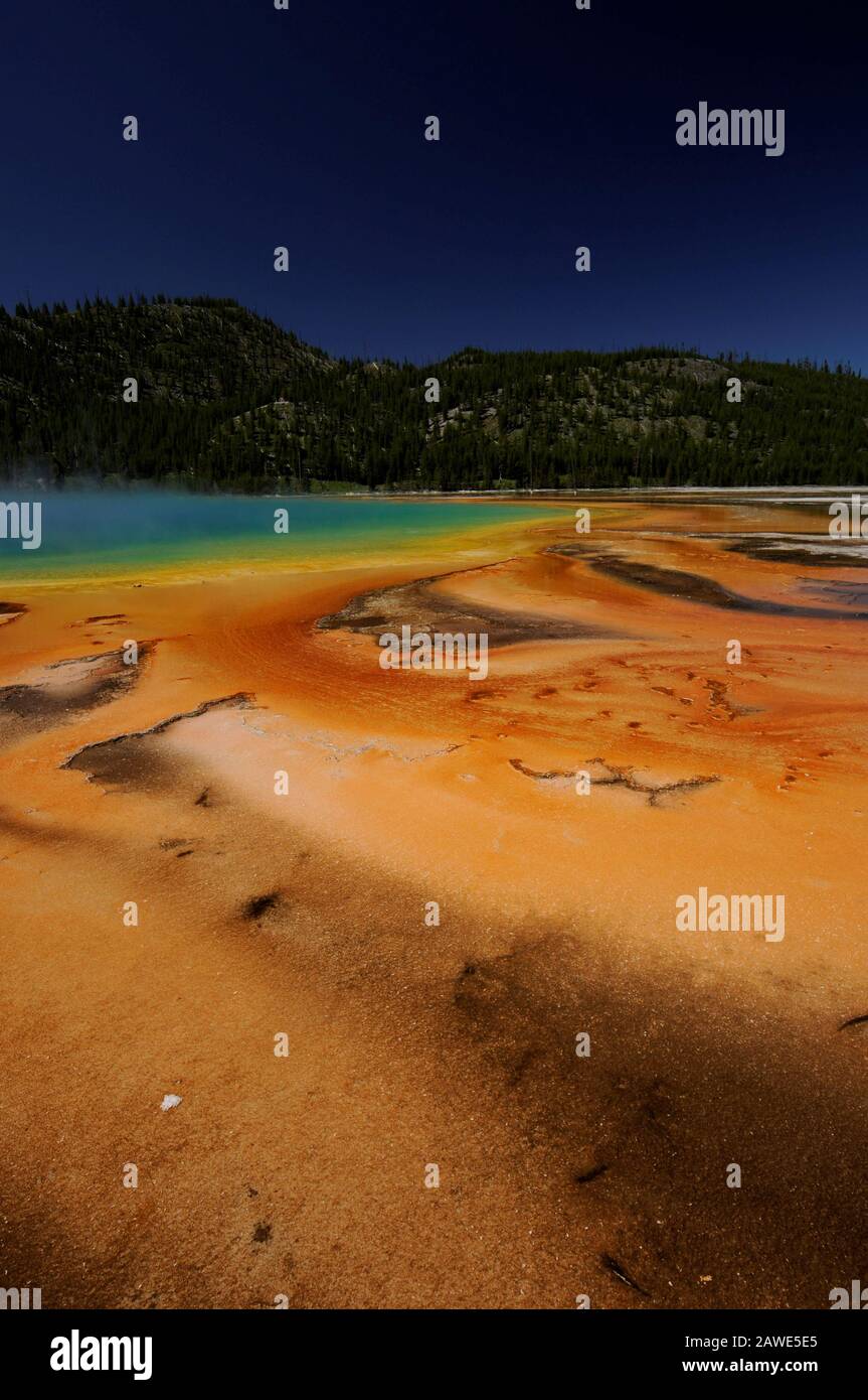 Prismatisches Schwimmbad eine heiße Quelle im Yellowstone Nationalpark Stockfoto