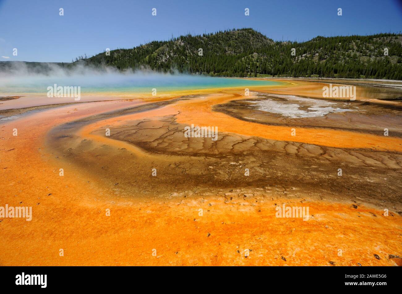 Prismatisches Schwimmbad eine heiße Quelle im Yellowstone Nationalpark Stockfoto