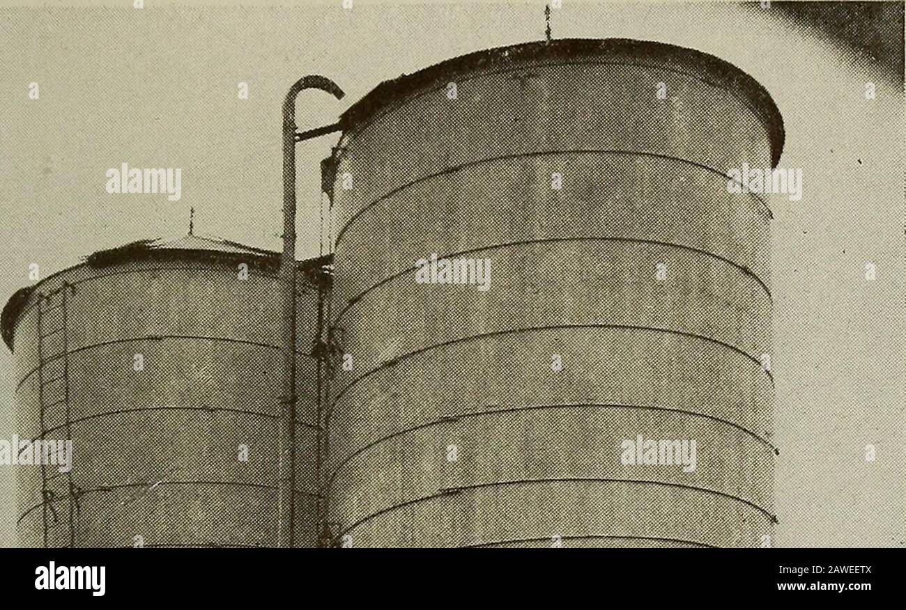 Katalog des Hampton Normal & Agricultural Institute in Hampton, Virginia, für das akademische Jahr .. . Struktur-Felsen der Erdkruste: Igneous, sedimentär und mefamorphisch. Mineralogie - Rock bildet Mineralien, Mineralvenen und Erzvorkommen, Bausteine. Biologie Zweites Halbjahr. Sein Verhältnis zur Landwirtschaft, zu Lebensphasen und zur ökologischen Bedeutung der Kröte, der Vögel, der Nagetiere usw.;Schutz, wie er durch Färbung, durch Instinkt erreicht wird;die Evolutionstheorie; wie in der Animalwelt dargestellt; ethnologisch-primitiver Mensch, seine Aktivitäten und seine Umwelt; Entwicklung in der Landwirtschaft. Farm Stockfoto