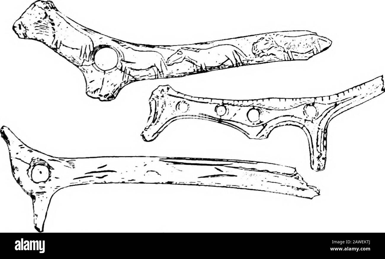 Eine Einführung in die Erforschung der sozialen Evolution; der prähistorischen Zeit. Schwarz, Gelb und weiß.*^Der Bison in Abbildung 40 wird in warmen Sepien mit glattgebranntem siena in die Sepia geführt und wird dunkler.Die Kunst ist im Allgemeinen bemerkenswert realistisch und die ani-Malen werden oft als in aktiver Bewegung dargestellt.*^ Diese Höhlenkunst ist die markanteste Leistung des paläolithischen Mannes. Es litt jedoch unter der Verfinsterung der Mode des Kavernenlebens; die Männer begannen, ihre Energien anderen Aktivitäten zu verschlingen. Man sollte bedenken, dass die Periode der Höhlenmenschen im Allgemeinen aperiod in whic war Stockfoto