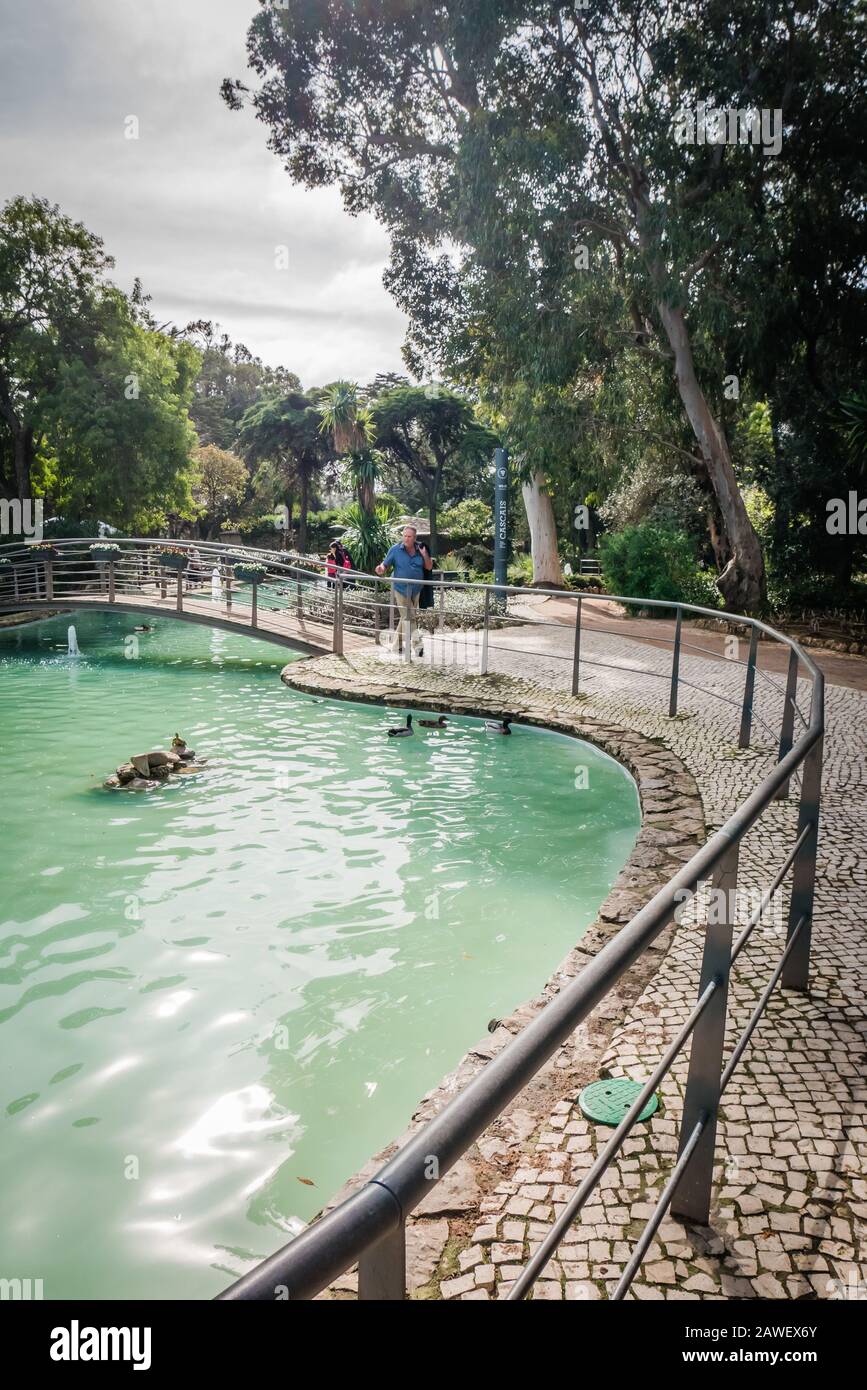 Parque Marechal Carmona ist ein familienfreundlicher öffentlicher Park in Cascais mit Enten Schildkröten in einem Teich sowie Gärten und Cafés Stockfoto