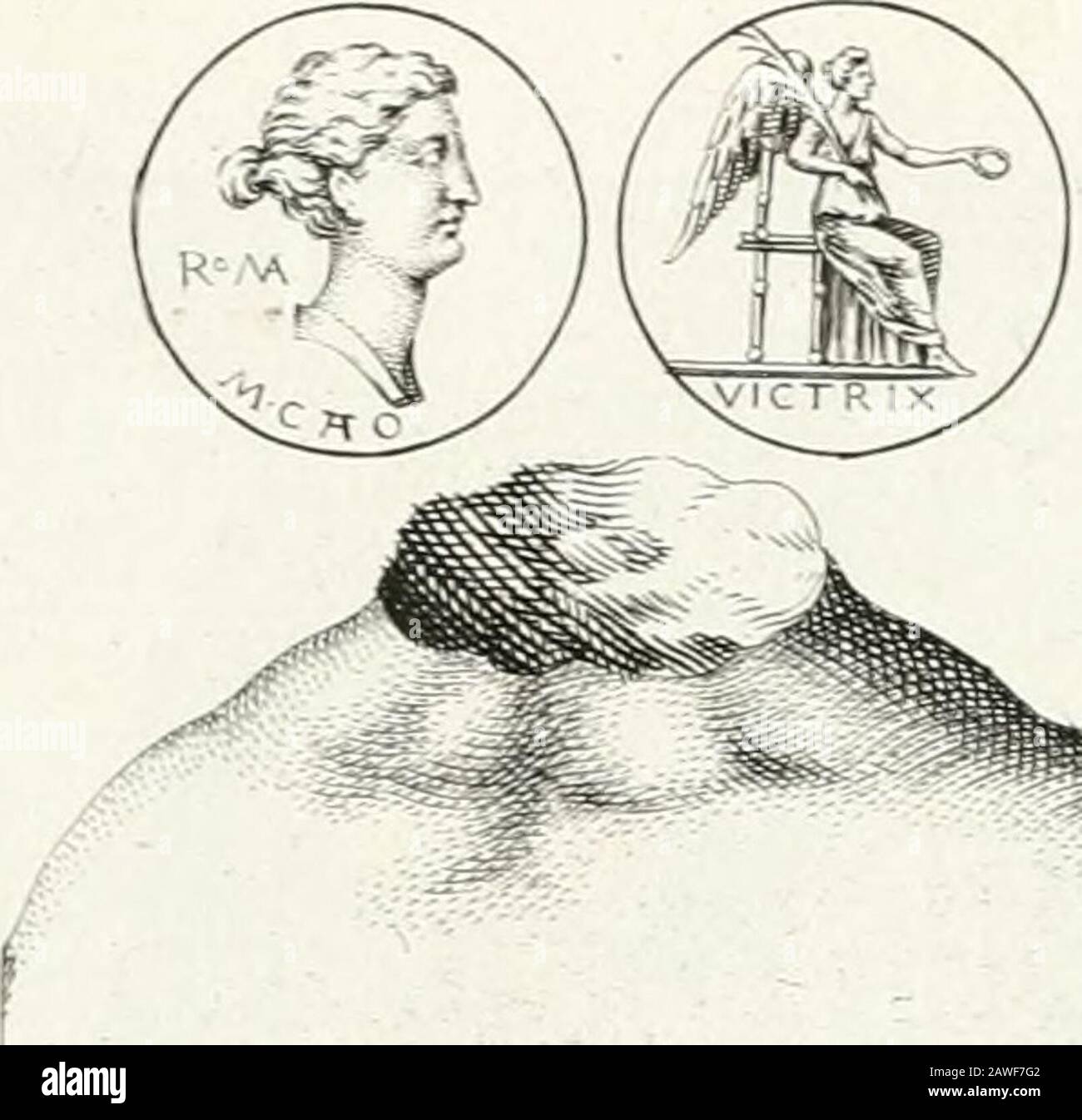 Veterum illustrum philophorum, poetarum, rhetorum, et oratorum imagines : ex vetustis nummis, gemmis, hermis, marmoribus, alijsque antiquis monumentis desumptae . Cato MAIOR COGNOMEND CENSORIVS Rudions rantimi saculi slii irriisrare srciiiiidus, cfftcrum cIoLiucnnd pnnuis Ejc Dacnjliotlu-ca Kilun ^i-^ini actnma.  ZIU. M-PORCIVS-M^F ,CATO ... P.ELN[SORIVS i^^JAV^?;r i^^--^ V-^ ?• V,;-}^ j •:.;. £. .-•1 - r-.. R •-I.,.-. "--!-:- T^-i... S;---;-.-!-. .^.-?-i r.-i!...-.-.-!--^-.-.^ *?."-,?" •. •- ^ ^:;;;^^v.VH.:V-^^^:^A^^-V?;&gt;::j -,-?•?."?- *11-?&gt;. "i:p Stockfoto