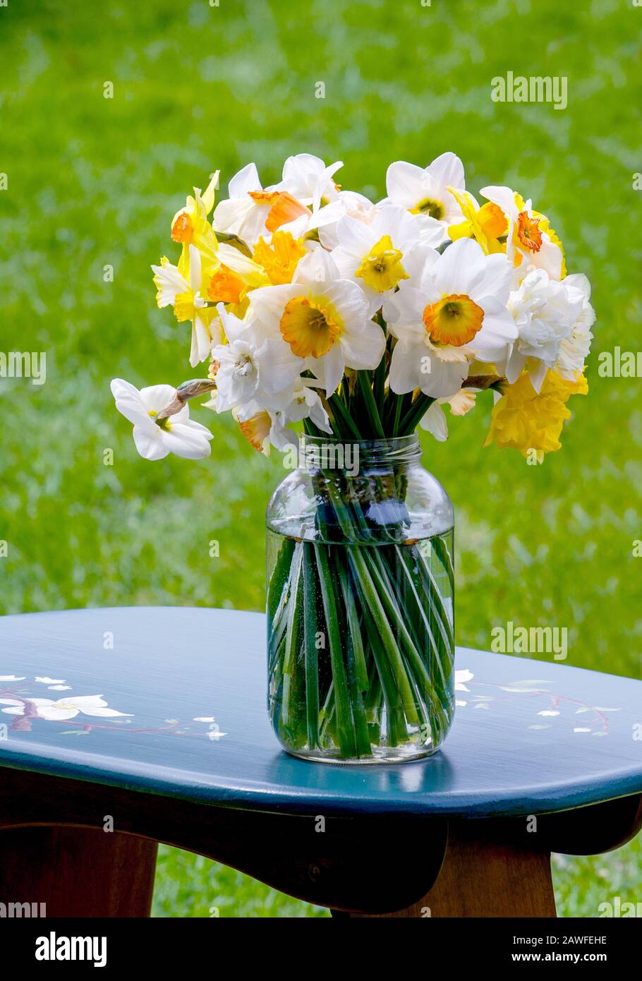 Ein Glas frisch gepflückter Narzissen sitzt auf einem Tisch im Freien Stockfoto