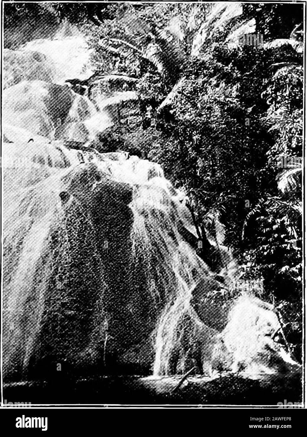 Birma . in Birma gefunden, aber das Erz tut kaum, um der Führung willen zu arbeiten. Das Silber, das in Birma verwendet wird, und der Großteil des Goldes wird aus China, Indien und Europa importiert. Ein Dozendorf in verschiedenen Teilen Burmas wird durch den Sand von Bächen, die Gold tragen, lebendig. Eine breitdünne, wie ein flacher Kegel geformte Holzschale wird mit Sand und Kies gefüllt und auf Wasserebene mit einer Drehbewegung bearbeitet, wobei der leichtere Mate Rial auszentrifugal angetrieben wird. Thedish wird gefüllt und aufgefüllt, und nach sieben oder acht Stunden Arbeit haben sich viele Körner Gewicht von Goldflocken im d angesammelt Stockfoto