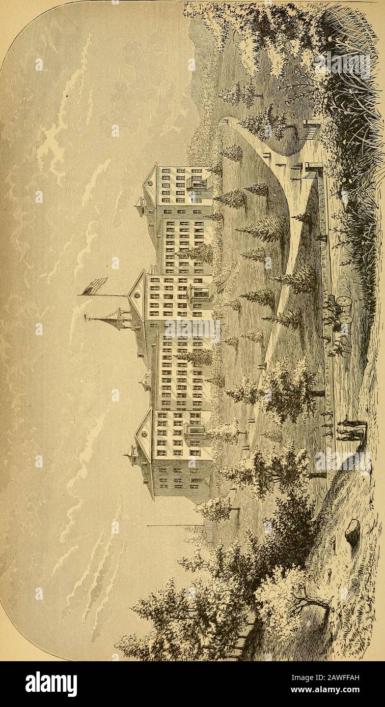 Öffentliche Dokumente der Legislative von Connecticut, ..session .. . f, neu, ... Lehrer, Qualifikationen von, . Löhne, Durchschnitt und Gesamtlohn, 1869-78, 1878-79, 10 Jahre Statistiken, Zusammenfassungen von Theologischen Schulen in Connecticut, Tolland County, Schulstatistiken von, nach Städten, Einlagenfonds, Einnahmen aus, Berichten, Auszüge gegeben, gedruckt, . * Städte die Organisationseinheiten in Neuengland, Ausbildungsschulen, Trinity College, Anzahl und Wohnsitz der Studenten, Baumbepflanzung, Truancy, Beatmung, Dorfverbesserung, Virginia und Neuengland, Vokalisierung, Wag Stockfoto