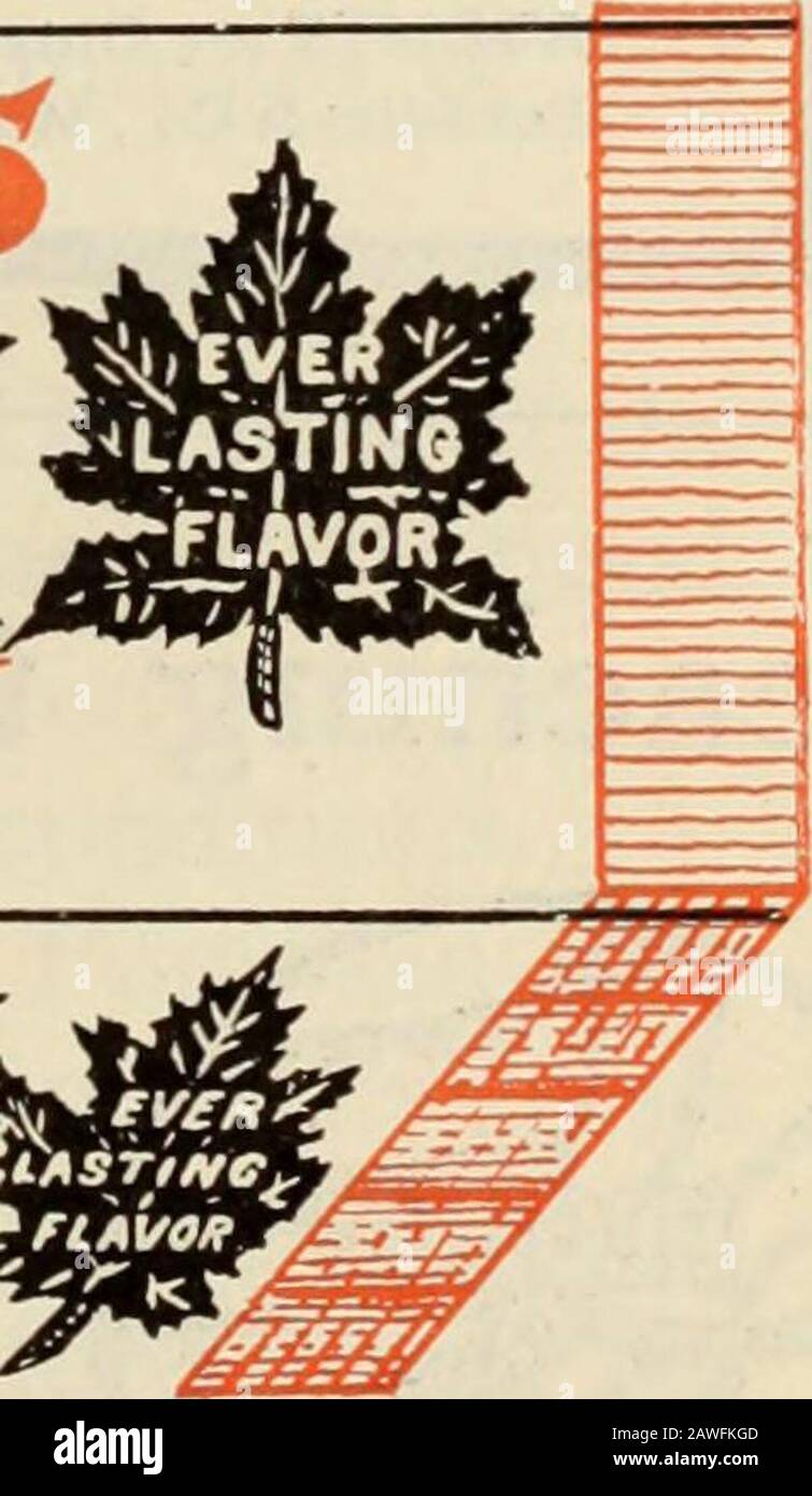 Kanadischer Lebensmittelhändler Oktober-Dezember 1913 . VEILASTING/ SPEARMINT PEPSIN GUM £.X/=&gt;Pf£SSL.YF-OR rss//s//sf/zfMR. Hergestellt in Kanada von Kanadiern. Kein amerikanisches Anliegen In Kanada Wir Bieten Auch Iooo Five Cent-Pakete, Dental Gum 10,00 1000 Dollar Five Cent-Pakete, Chiche-Bits 10,00 Dollar A Ca%cta^Pepper- 1000 Five Cent-Pakete, Fruit Gum (Folie Verpackt) 10,00 Dollar Factory Working Day and Night an. Wiederholen Sie Die Bestellungen In Galore. GROSSHANDELSHÄUSER SCHREIBEN FÜR RABATTE Maple Leaf Gum und Candy Company London, Kanada 45 DER KANADISCHE LEBENSMITTELHÄNDLER JAPAN TEAS FURUYA & NISHIMURA Stockfoto