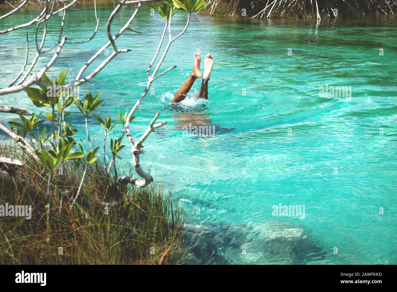 Mann taucht und spritzt in türkisfarbenes Wasser der siebenfarbigen Lagune, Bacalar, Quintna Roo, Maccico Stockfoto