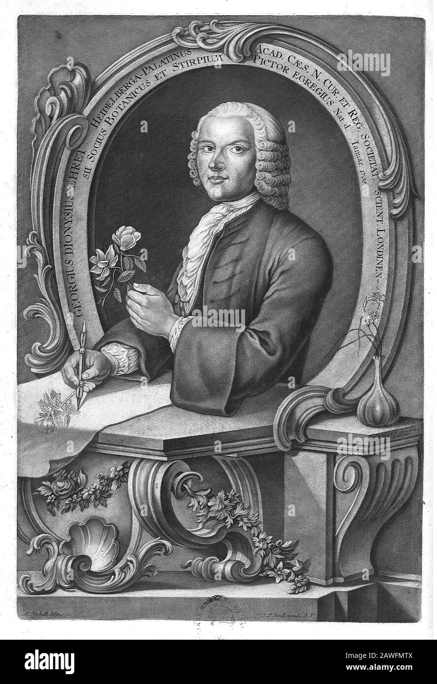 Mezzotintplatte mit der Darstellung von Georg Dionysius Ehret (30. Januar 1708 - 9. September 1770), einem Botaniker und Entomologen, der für seine botanischen Illustrationen bekannt ist. Stockfoto