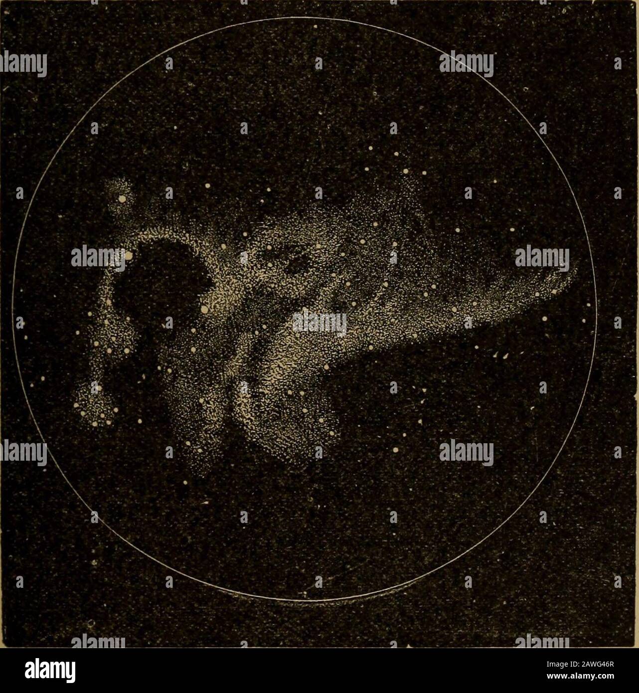 World-Life; oder, Vergleichende Geologie. Sagen Sie, dass es in der Struktur der MagellanicClouds wirklich schwierig ist, nicht zu glauben, dass wir eindeutige Beweise für die Ausübung einer solchen Aggregationsleistung sehen.-.4&lt;i(ire5s, British Association, 295. TSchellen: Spectral Analysis, 371; Sir W. Herschel, Phil. Trans., 1811;Otto Struve, Monatsvermerke Astronom. Soc, London. März 1856, Bd. xvi,S. 139; Gautier, Archives des Sciences Physiques et Naturelles de Geneve. 18fi2, übersetzt in Smithsonian Report, 299; Secchi, Comptes Rendus, Ixv, S. C43,Ixvi, 63. X F. Abbot, Proc. Roy. Astron. Soc, Nov. Stockfoto