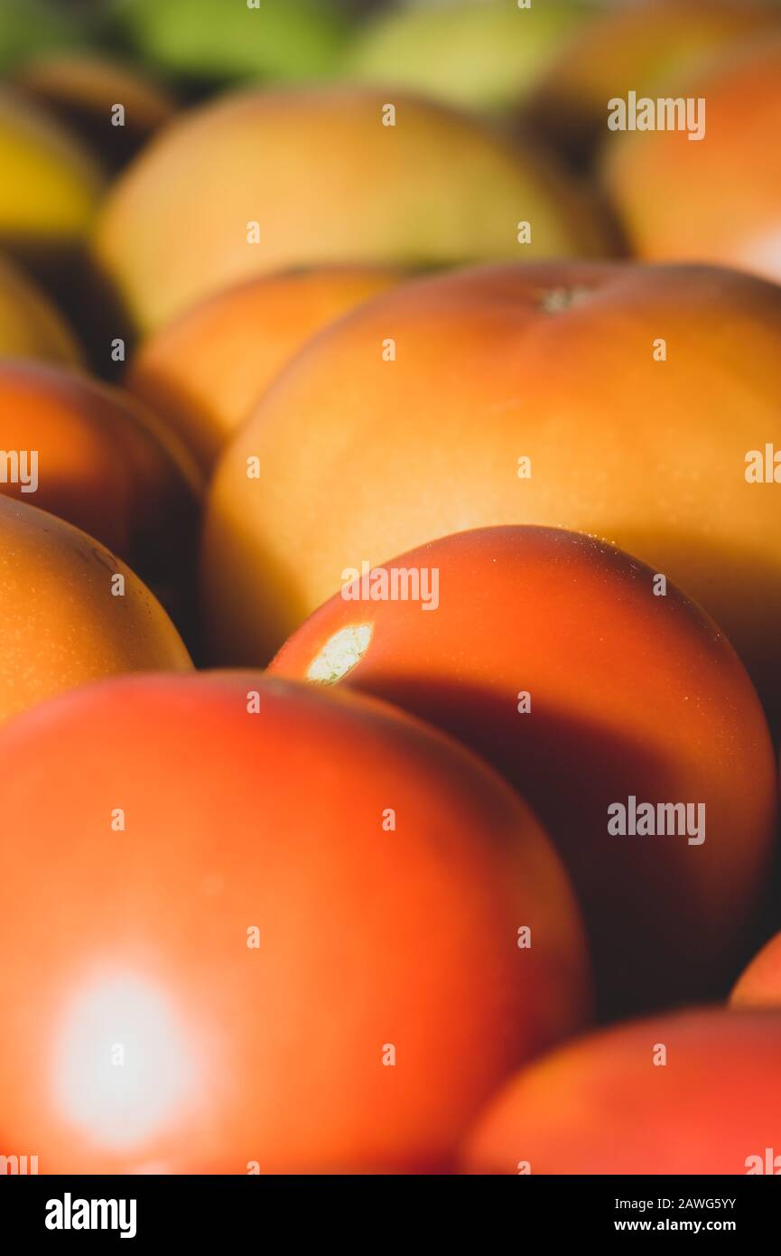 Tomaten Hintergrund. Organisches Gemüse. Gesunde Ernährung vegetarische Ernährung Stockfoto