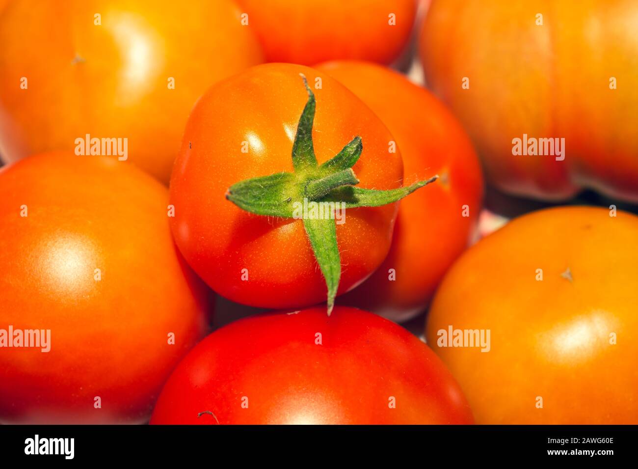 Tomaten Hintergrund. Organisches Gemüse. Gesunde Ernährung vegetarische Ernährung Stockfoto