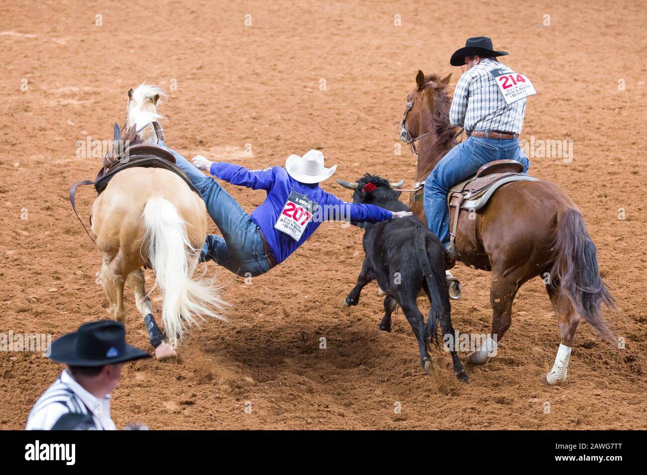 Peking, USA. Februar 2020. Cowboys sind im Rodeo-Wettbewerb auf der Fort Worth Stock Show und Rodeo in Fort Worth, Texas, den Vereinigten Staaten, am 7. Februar 2020 zu sehen. Die Fort Worth Stock Show und Rodeo 2020 sind vom 17. Bis 8. Februar zu sehen. Durchschnittlich mehr als 900.000 Menschen besuchen jährlich die Fort Worth Stock Show und Rodeo. Credit: Dan Tian/Xinhua/Alamy Live News Stockfoto