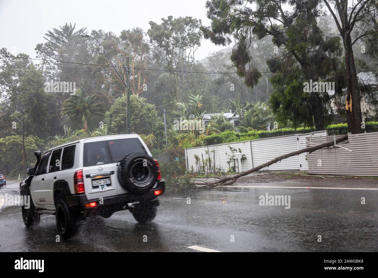 Palm Beach, Sydney, 9. Februar 2020. Starke Winde und starker Regen bringen Bäume auf den Autobahnen in Sydney, Australien, herunter. Nissan Patrol 4WD fährt durch starken Regen Credit: martin Beere/Alamy Live News. Stockfoto