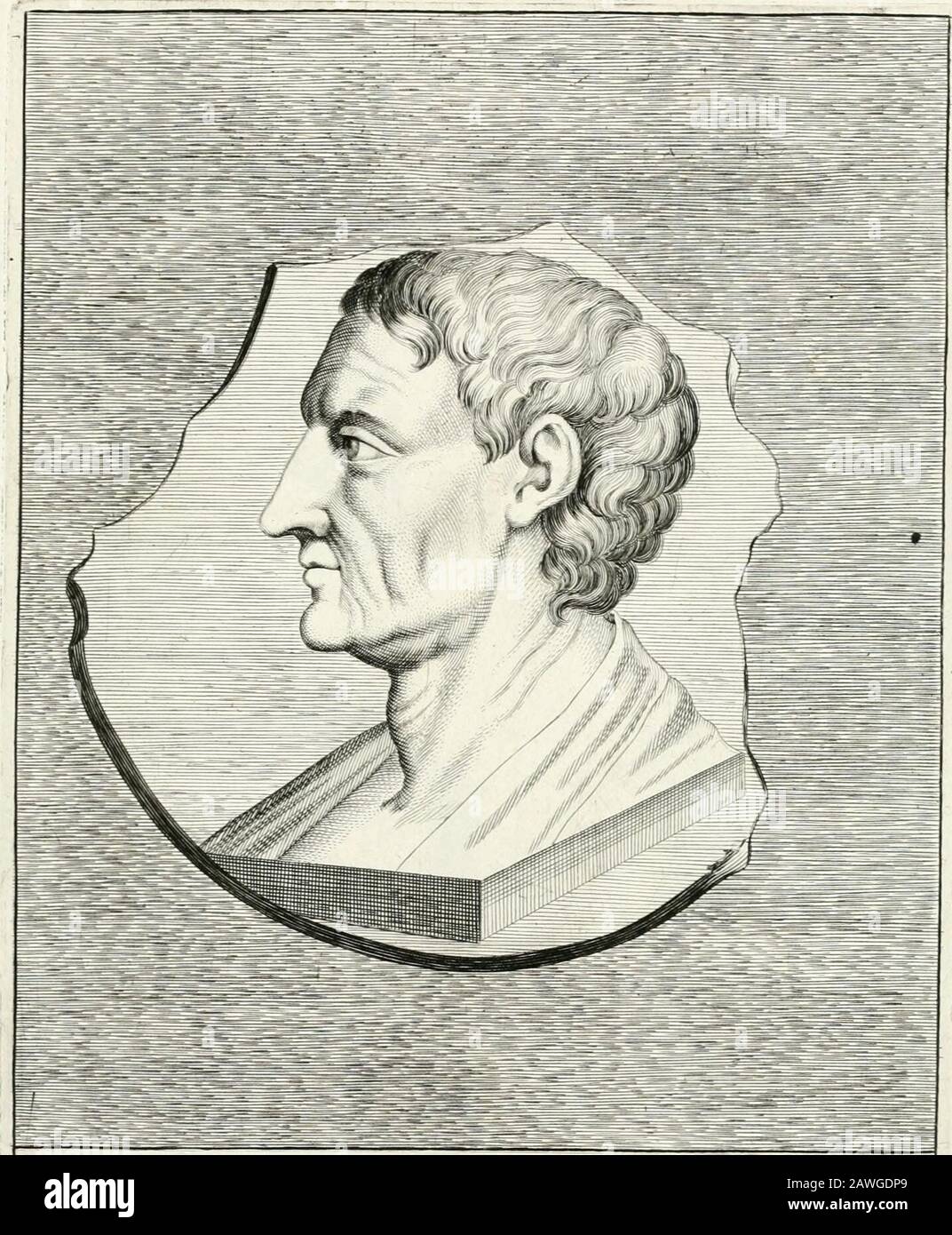 Veterum illustrum philophorum, poetarum, rhetorum, et oratorum imagines : ex vetustis nummis, gemmis, hermis, marmoribus, alijsque antiquis monumentis desumptae . ARIS^TOMACHVS Apiim.^pcculatoi et aiuator ApudLeonarHiun Aimitstmiim iii acmnin Corniold o. Aristoteles S Penpat^cticorum Pnnceps Lx Biblioteca Fuluu Vi-^tim m nmnort J Stockfoto