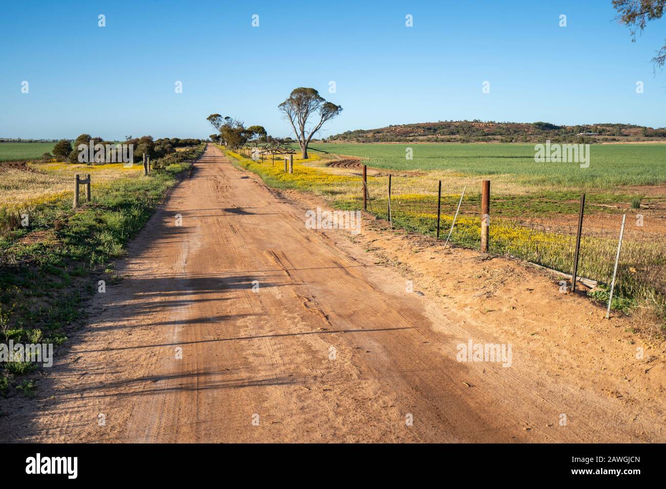 Schmutzige Straße durch das Weideland in der Nähe von Bencubbin, Western Australia Stockfoto