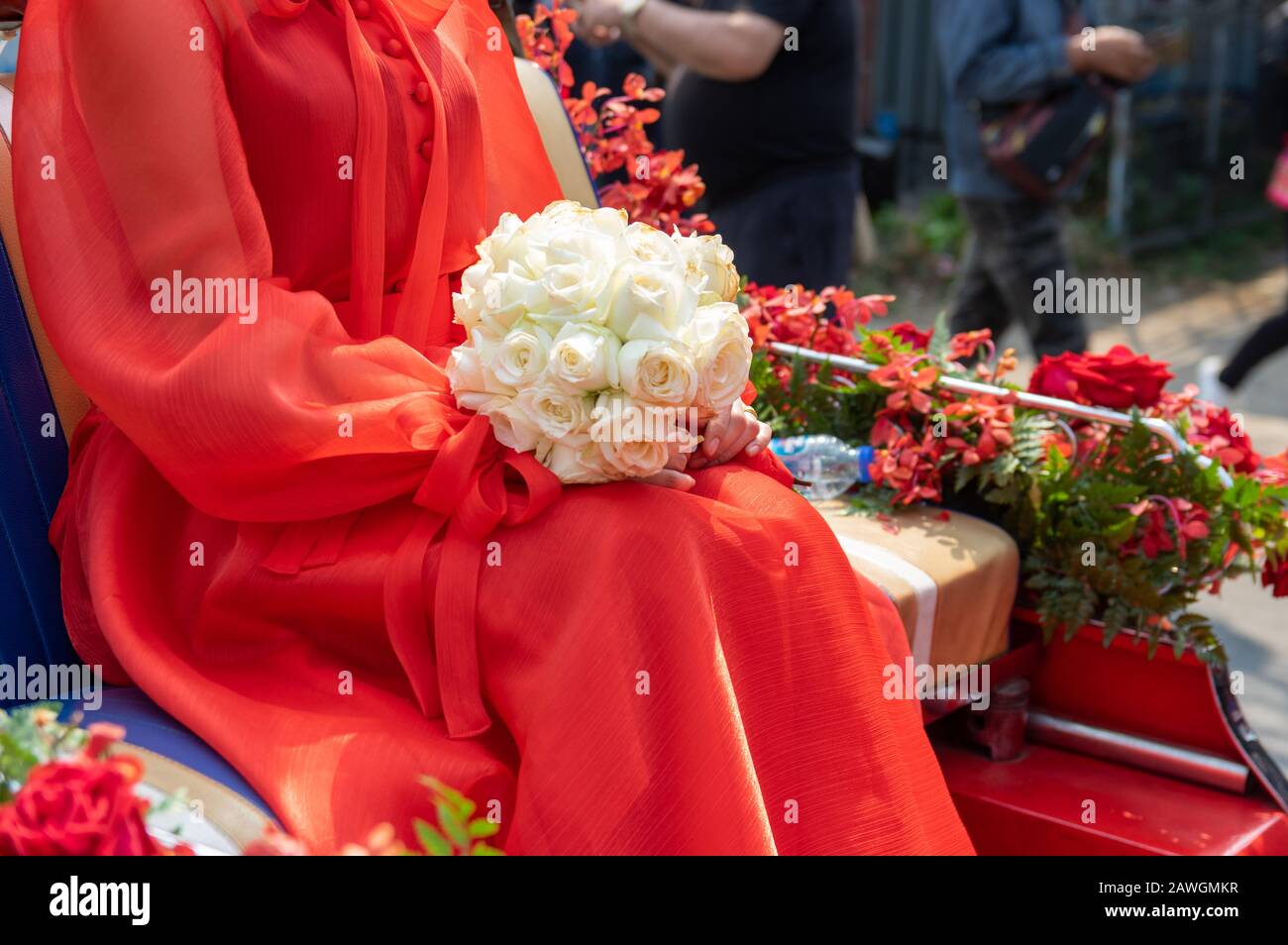Bild der weißen Rosen auf dem Schoß einer Frau in einem roten Kleid - ausgewählter Fokus auf Blume Stockfoto