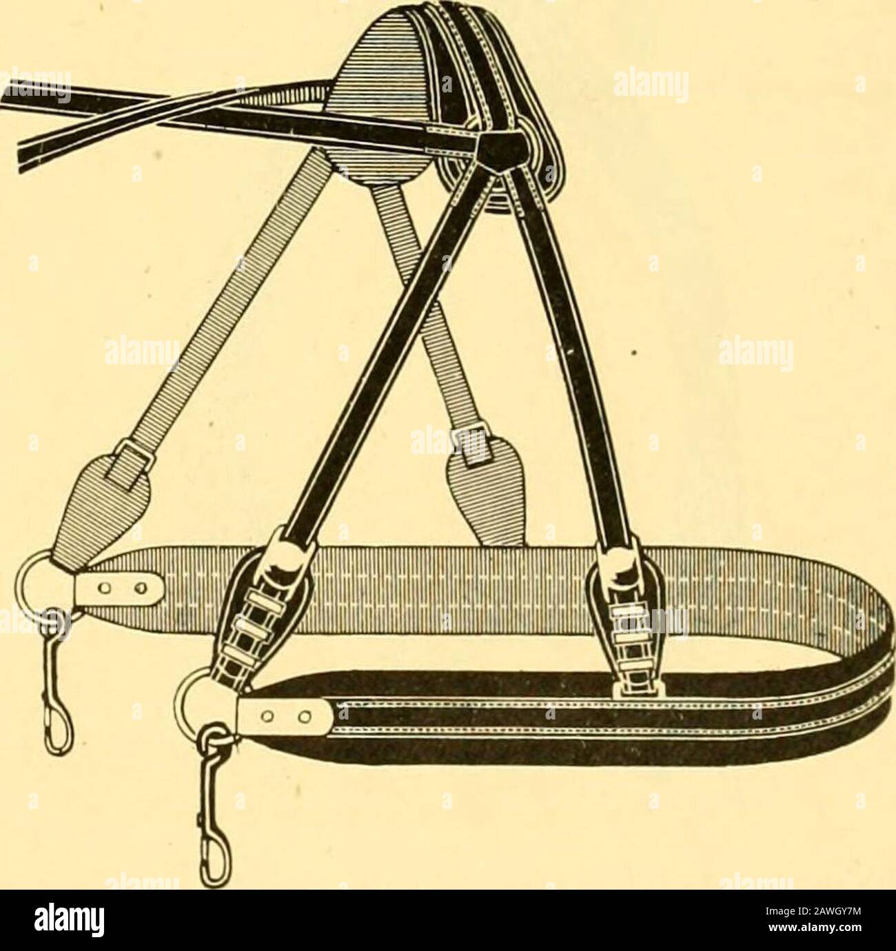 Spezialkatalog, Saison 1910 und 1911 . Nr. 32. Bühnenbring. Gefaltet, mit Layer-, Metallclips und Loops, Snaps. Größe, Zoll % V % 1 IVS IVI IV2 Pro Set 5,00 5,50 li.OO 6,50 7,00 S.50. Nr. 37. Yankee Breeching. Gefaltet, mit Layer-, Metallclips, Messing-Loops und Schnalle Shields, Snaps. Größe, Zoll % Yb 1 IVS VA IV2 Pro Set 5,50 6,00 6,50 7,00 7,70 9,50 12 ^^f EMMONS-PiAWKINS HARDWARE CO. HCTNTINGTON.W. VA. J^^ Flachbandkabelbaumdurchschn Stockfoto