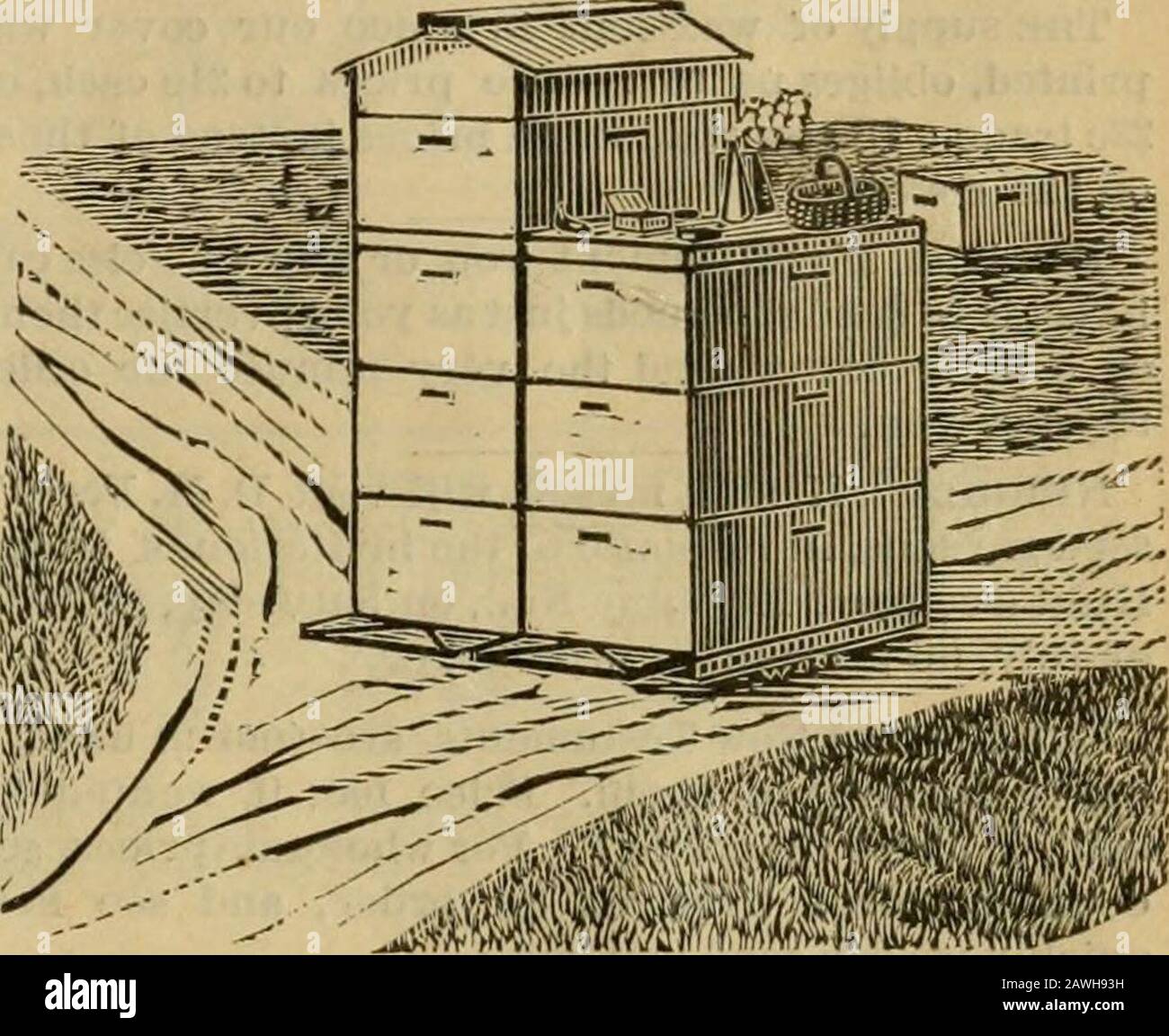 Die Zeit, sie ins Haus zu tragen. AVell, ifyou will look the Plan of our apiary, you will See, where the pfads intersect, quittle cotter space. Auf diesem Raum halten wir leere Schlichtheit Nesselsucht für Bequemlichkeit. Das Atom-Brett ist schön nivelliert, und da können wir Hives in jeder Höhe stapeln. Nun, 3 Hives, die auf dieser Unterseite des Bodens eingestellt sind, und thena Cover, heben es nur um die Höhe Ihrer Weste Knöpfe an, und Sie finden es einen veryhandlichen Tisch, auf dem Sie Ihre Smoker oder irgendwelche Werkzeuge einstellen können, und als auffälliger Punkt können Sie immer wliere sagen zu schauen. Jetzt tomake es in Stockfoto