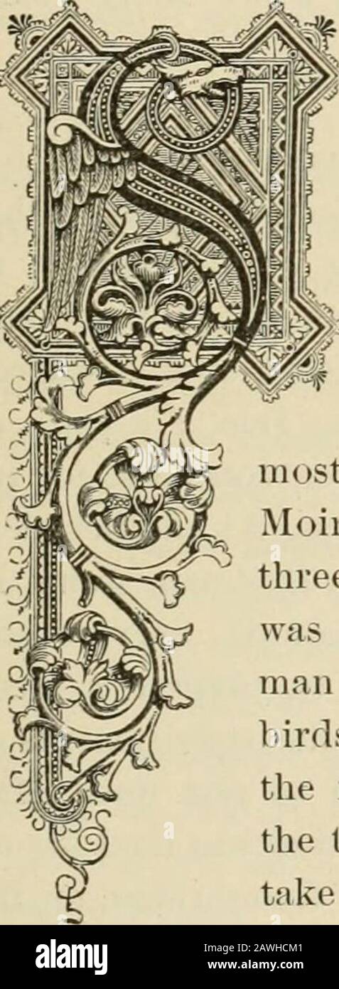 Porträt und biografisches Album von Mahaska County, Iowa, mit ganzseitigen Porträts und biografischen Skizzen prominenter und repräsentativer Bürger des Countys, zusammen mit Porträts und Biografien aller Gouverneure von Iowa und der Präsidenten der Vereinigten Staaten . ^t^V*? *^ ^f*^-*. ^i^^SBR 0ME oder der Rest der kleineren Städte der UnitedStates befinden sich in Iowa.Prominent unter diesen ist Os-Kaloosa, das Juwel citj^ des Bundesstaates. Es ist wunderschön auf der Kluft, in einer möglichst gleichen Entfernung von den Flüssen DesMoines und Skunk. Vor 43 Jahren wurde der Standort o Stockfoto Porträt und biografisches Album von Mahaska County, Iowa, mit ganzseitigen Porträts und biografischen Skizzen prominenter und repräsentativer Bürger des Countys, zusammen mit Porträts und Biografien aller Gouverneure von Iowa und der Präsidenten der Vereinigten Staaten . ^t^V*? *^ ^f*^-*. ^i^^SBR 0ME oder der Rest der kleineren Städte der UnitedStates befinden sich in Iowa.Prominent unter diesen ist Os-Kaloosa, das Juwel citj^ des Bundesstaates. Es ist wunderschön auf der Kluft, in einer möglichst gleichen Entfernung von den Flüssen DesMoines und Skunk. Vor 43 Jahren wurde der Standort o Stockfoto