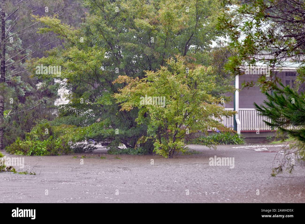 Australien: Hochwasser an der Ostküste Stockfoto