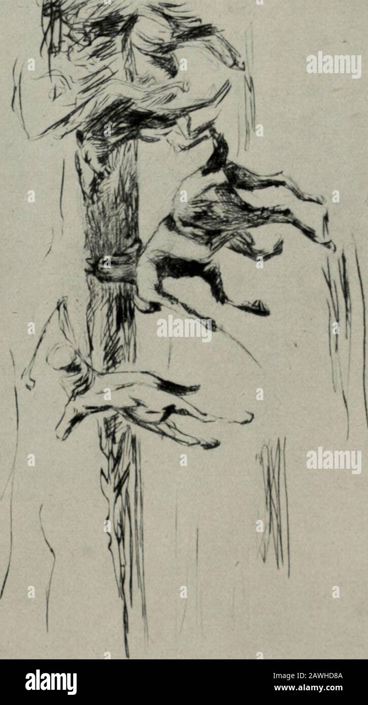 Max Liebermann . Ä^ AVilhelm von Bode (1909) Lithographie 40 . 41 Stockfoto