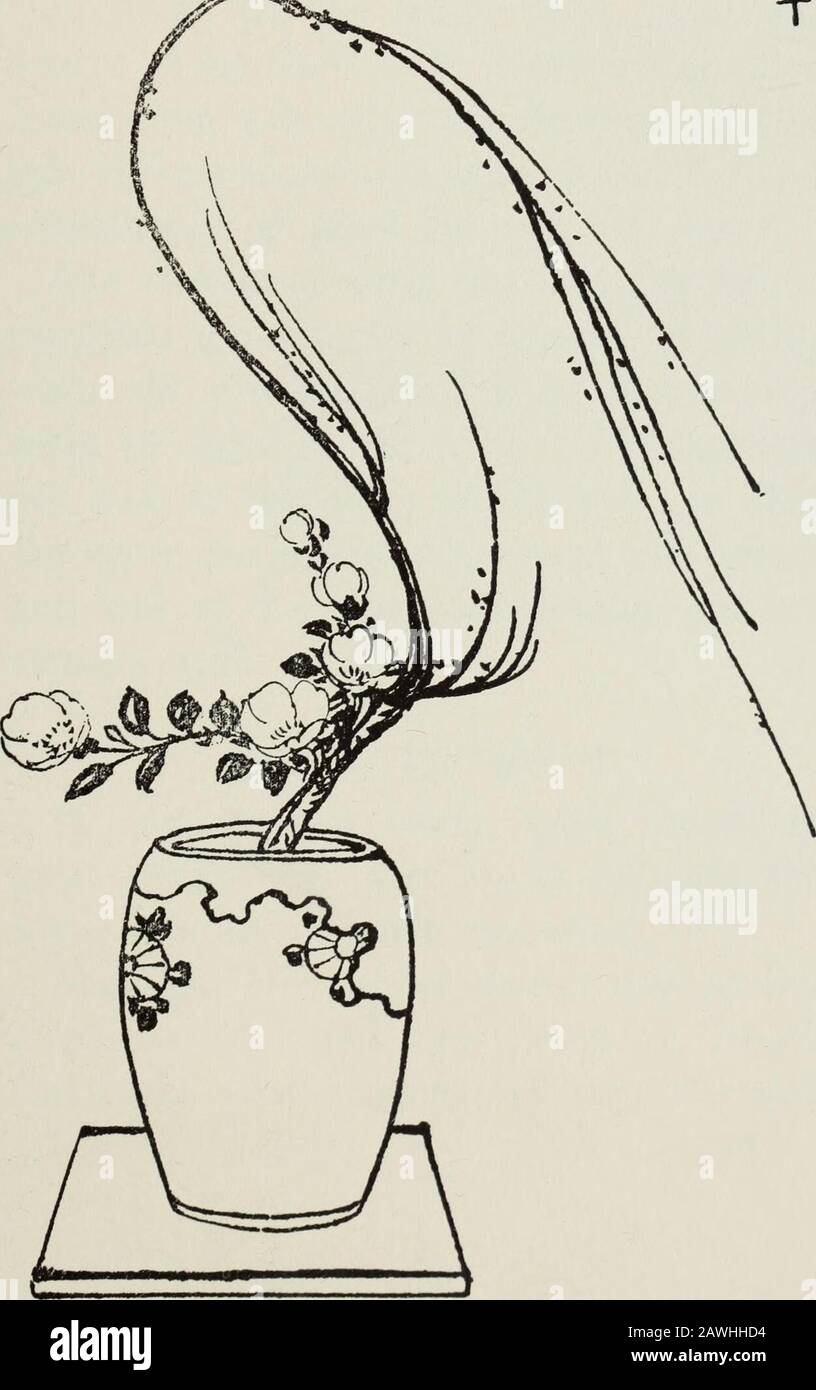 Japanische Blumenarrangement &lt;Ike-bana&gt; wird auf westliche Bedürfnisse angewendet. Eine März-Anordnung mit Influenceoj Hohem Wind ^pmm^ r * * * • * +. Ein Arrangement geeignete Jor Februar oder Marchtwhen Winde sind Hoch, WIE MAN DEN SAISONPUNKT vorwärts und andere rückwärts VORSCHLÄGT. DoThis auch mit der Erde sprüht. Lassen Sie die Midzu-giwa - der Ort an der Basis, an dem sich alle Stiele vereinen und als ein Stielchen erscheinen müssen - kurz sein, etwa drei Zentimeter oder so lang. Durch die Verkürzung des Teils des Arrangements sieht es voll und ausgebreitet aus, da die gesamte Pflanzenlebensdauer in dieser Saison liegt. Die Menge Wasser, die in die Vase i eingesetzt wird Stockfoto