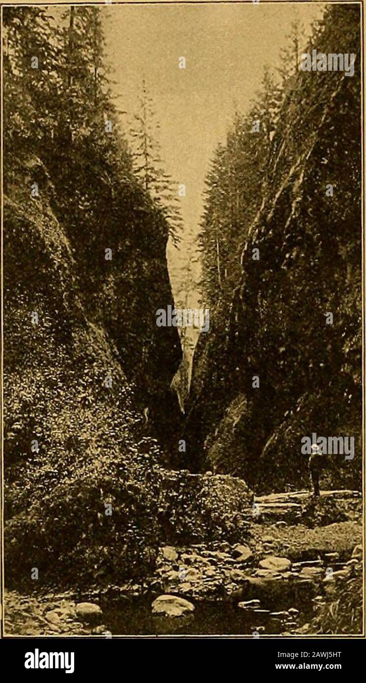 Der Yosemite, Alaska und der Yellowstone. Abb. 87. Willamette Falls, Columbia River, 128 Yosemite, Alaska und Yellowstone, im Sommer trocken und im Winter nicht gefroren. Sie sind nur 13 Millionen von der Stadt und haben mindestens über 50.000 Pferdestärke. Thepeople bereiten sich darauf vor, diese Energie mittels elektrischer Applikationen zu übertragen und sie in der Stadt zur Verfügung zu stellen, aber bereits große Mühlen sind um die Stürze herum gebaut worden und sind in einem erfolgreichen Betrieb. Die Aufzeichnungen des Clearing House of Portland für das Jahr 1891 zeigen 102.570.167.36 dols. Für das Geschäftsjahr, und es wurde angegeben, dass Portland m hat Stockfoto