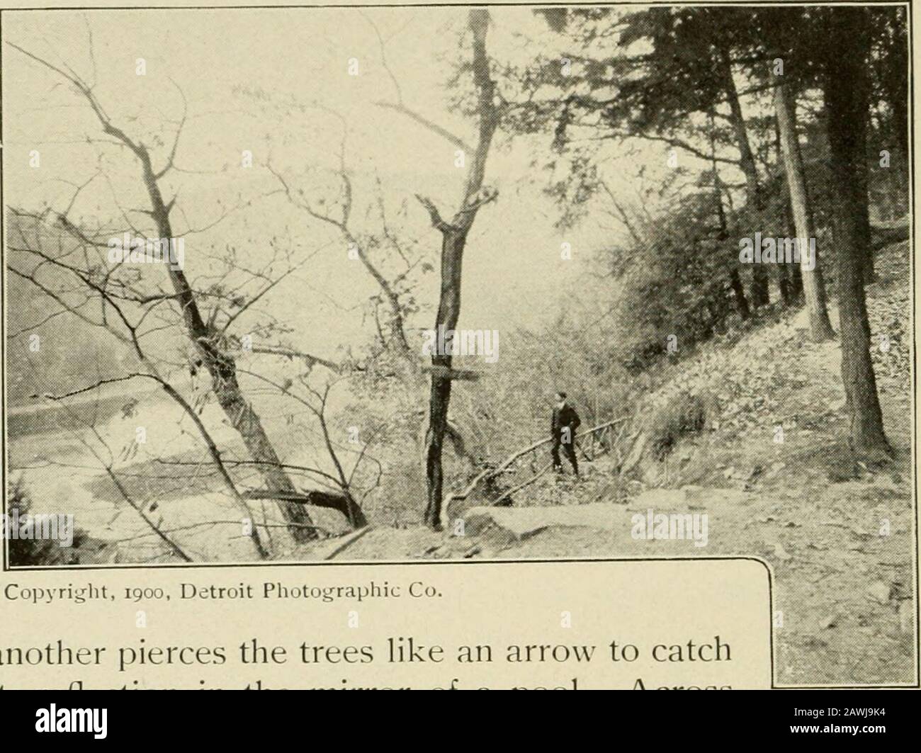 Ghost of the Glacier and other Tales. SCULPWRE VON DER ELFS, Während die Königin schläft, verbreiten sie sich über eine dunstige Trübung, durch die die Sterne fröhlich zufunkeln. Der Radiantmond peeps die Gipfel der Berge und badet mit seinem weichen Licht. Die Glen und Dales gehen in der Dunkelheit verloren. Ein Lichtstrahl berührt die tanzenden Wasserfälle, den MOSS-LEGEPFAD, DIE WASSERLÜCKE. Copyriglit, 1900, Detroit Ph.itMt, eine weitere Pierze die Bäume wie ein Pfeil, um seine Reflexion im Spiegel eines Pools zu fangen. Über den ruhigen Fluss ist ein Weg von Silber. Der Chor der Katarakte und der Rills schwillt lauter an. Cricket Stockfoto